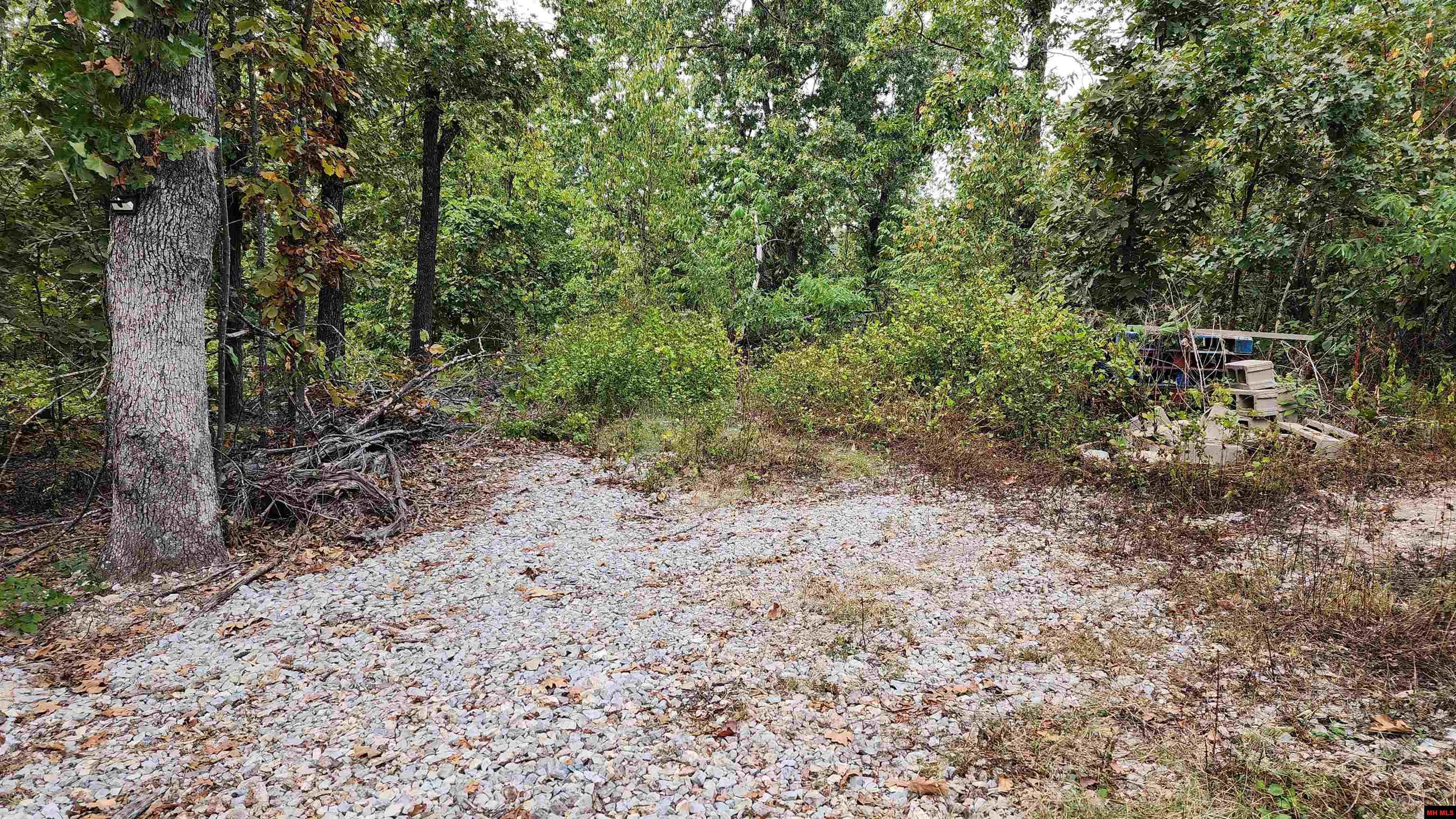 6901 MC 8061 Flippin, AR