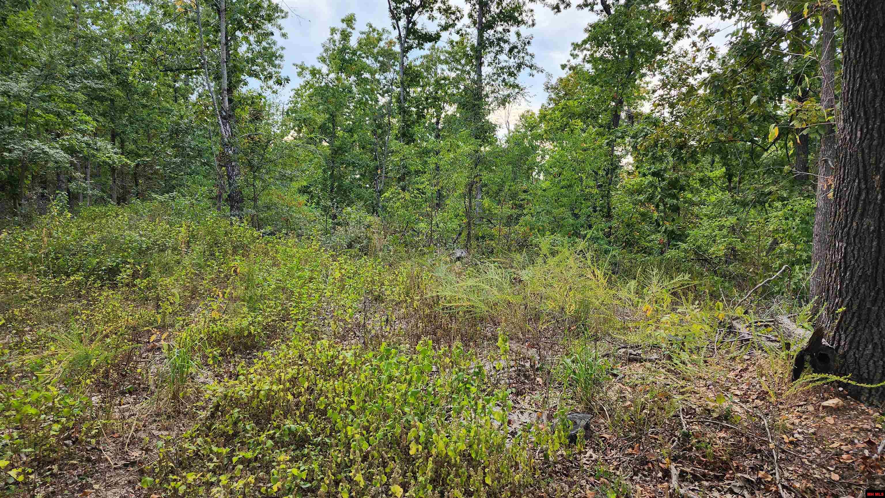 6901 MC 8061 Flippin, AR