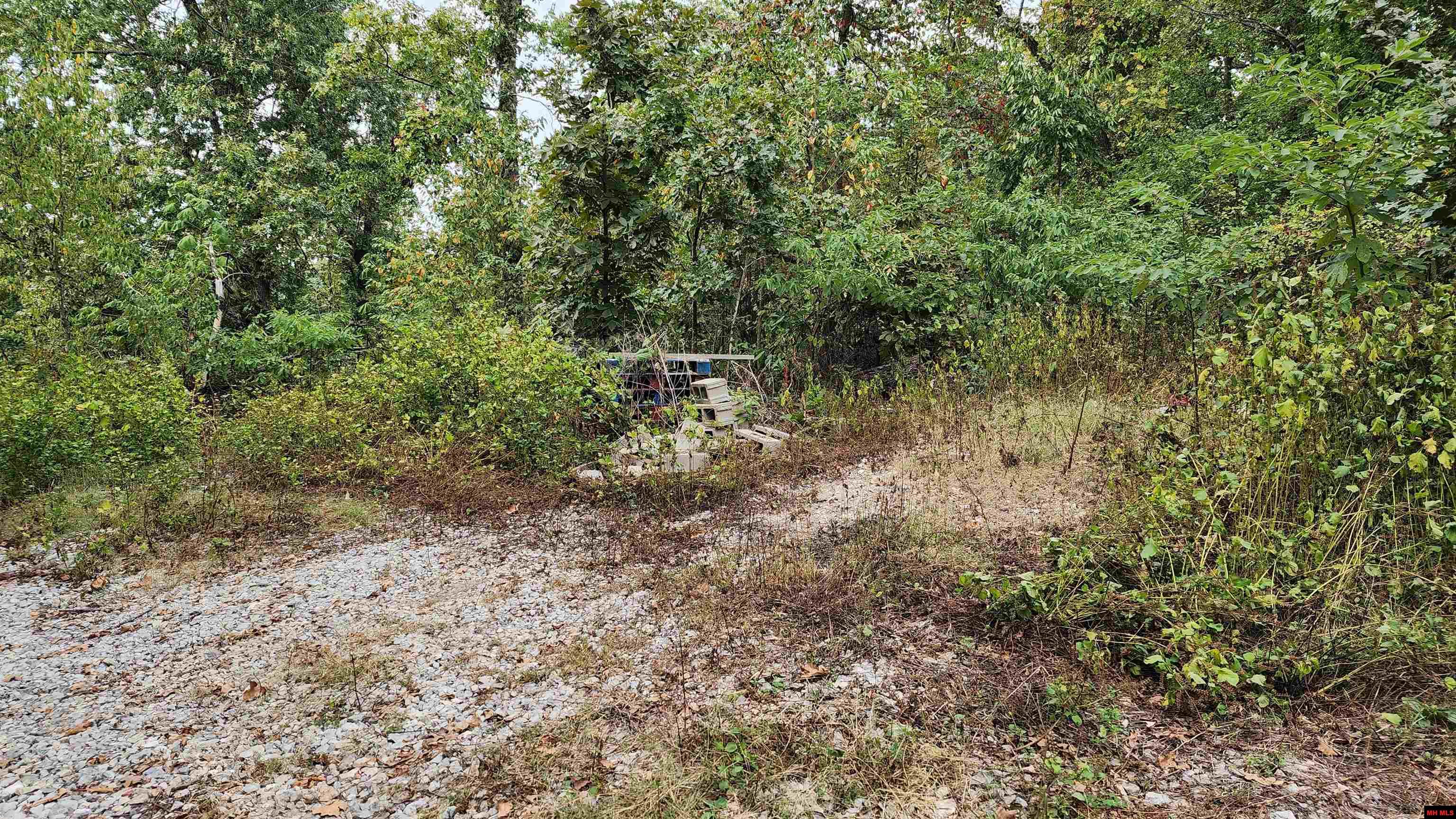 6901 MC 8061 Flippin, AR