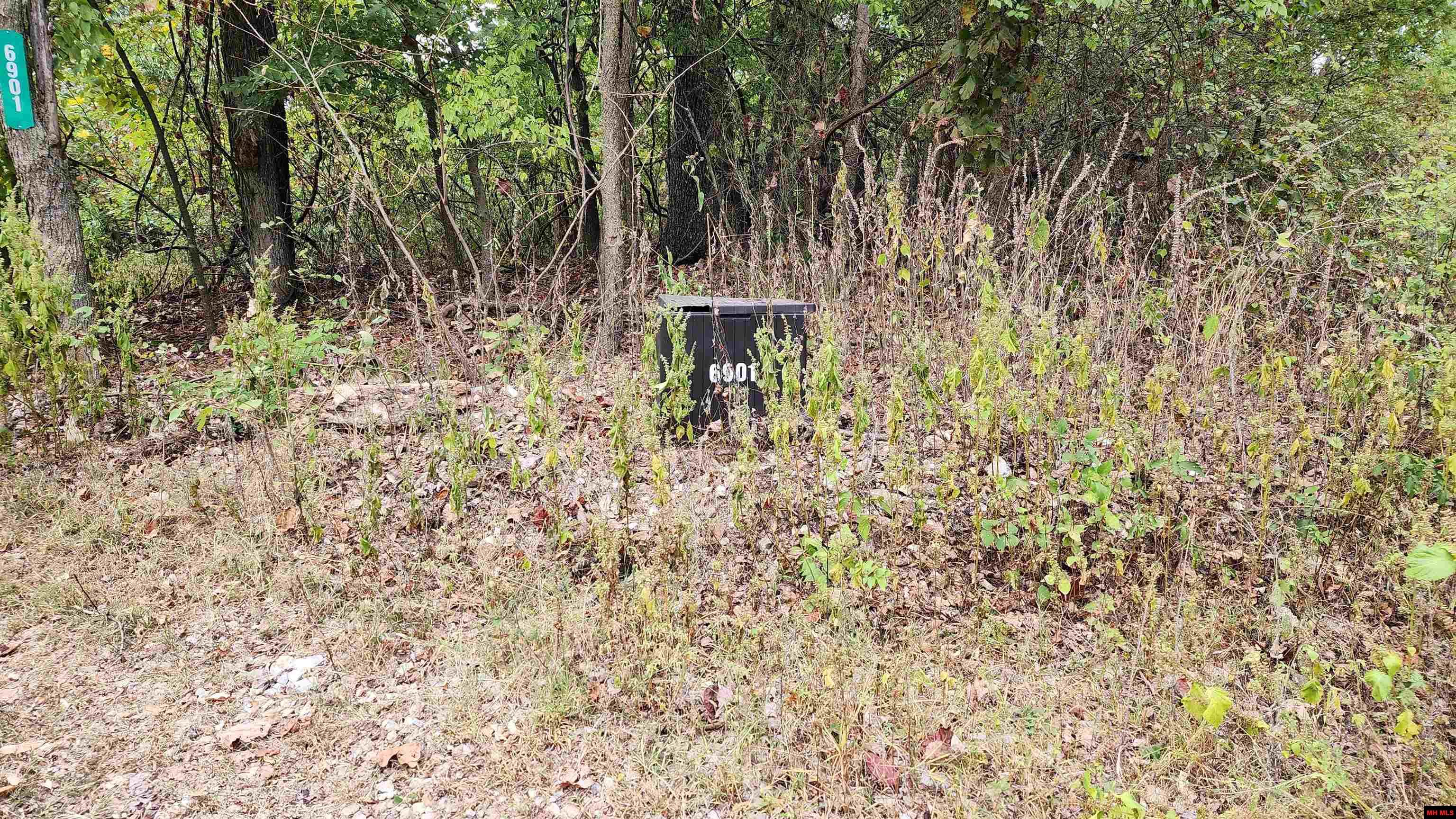 6901 MC 8061 Flippin, AR