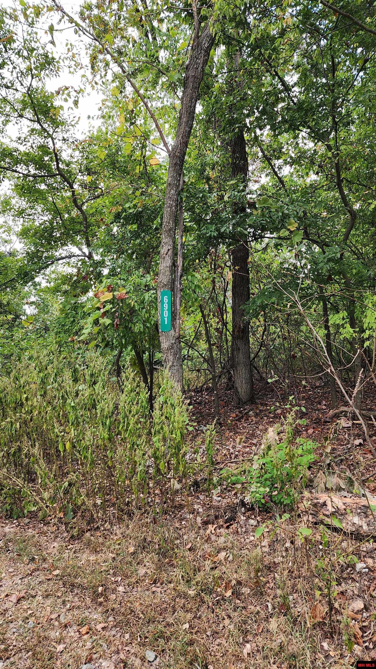 6901 MC 8061 Flippin, AR