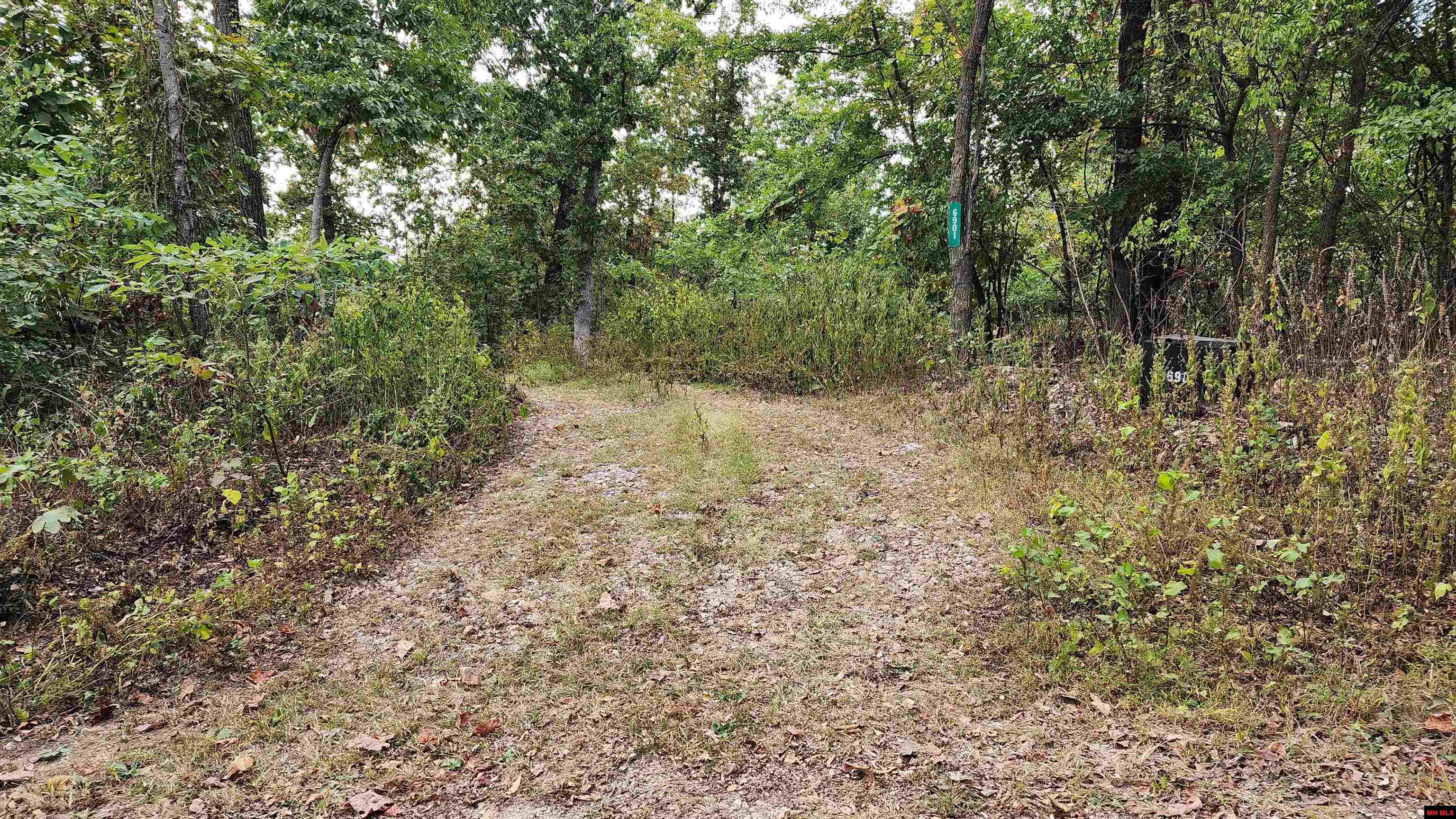 6901 MC 8061 Flippin, AR