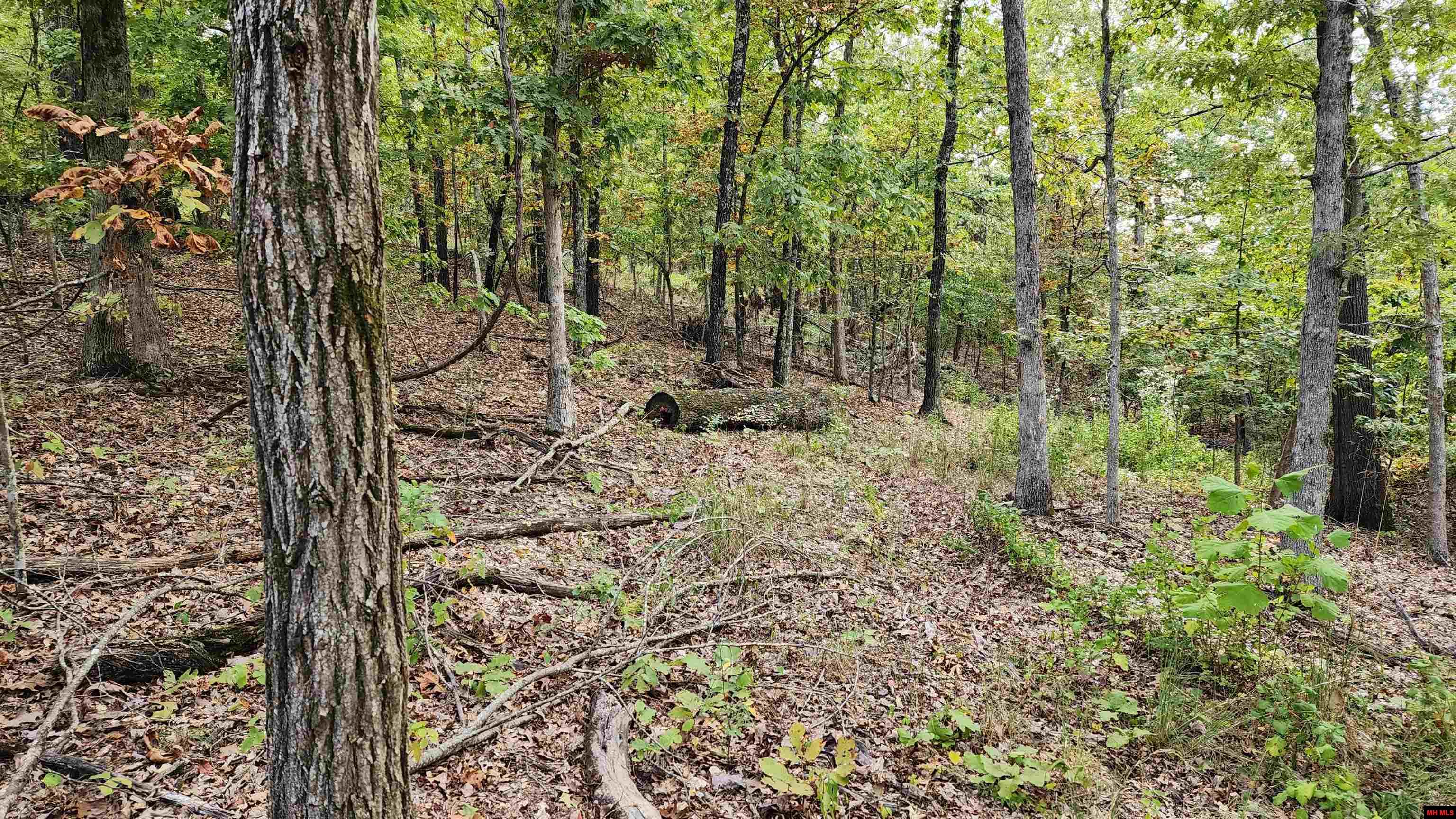 6901 MC 8061 Flippin, AR