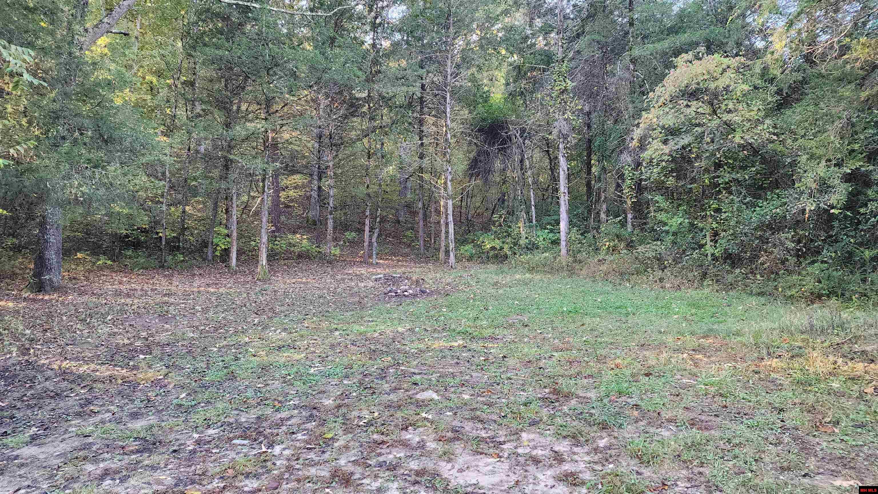 6901 MC 8061 Flippin, AR