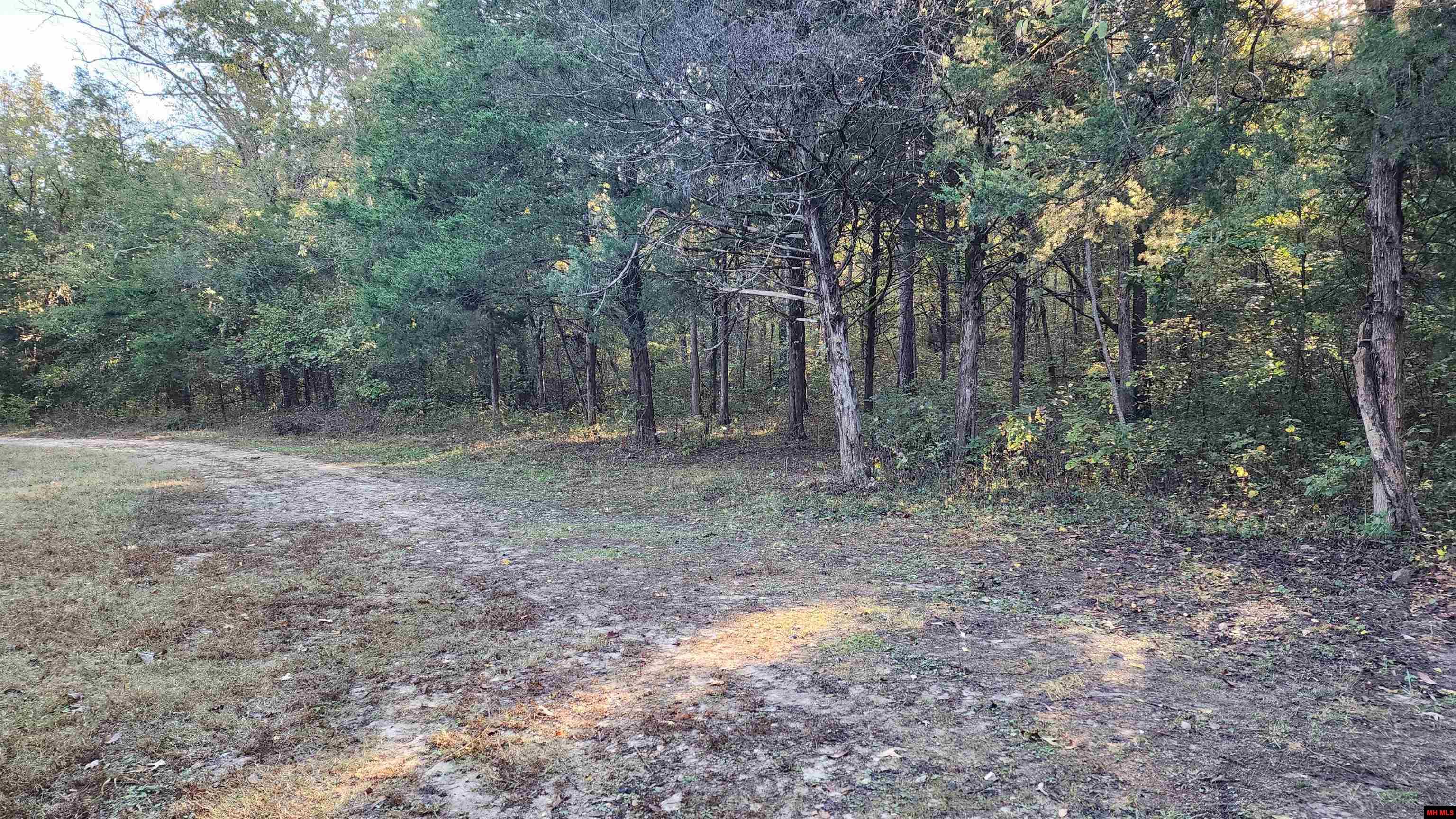 6901 MC 8061 Flippin, AR