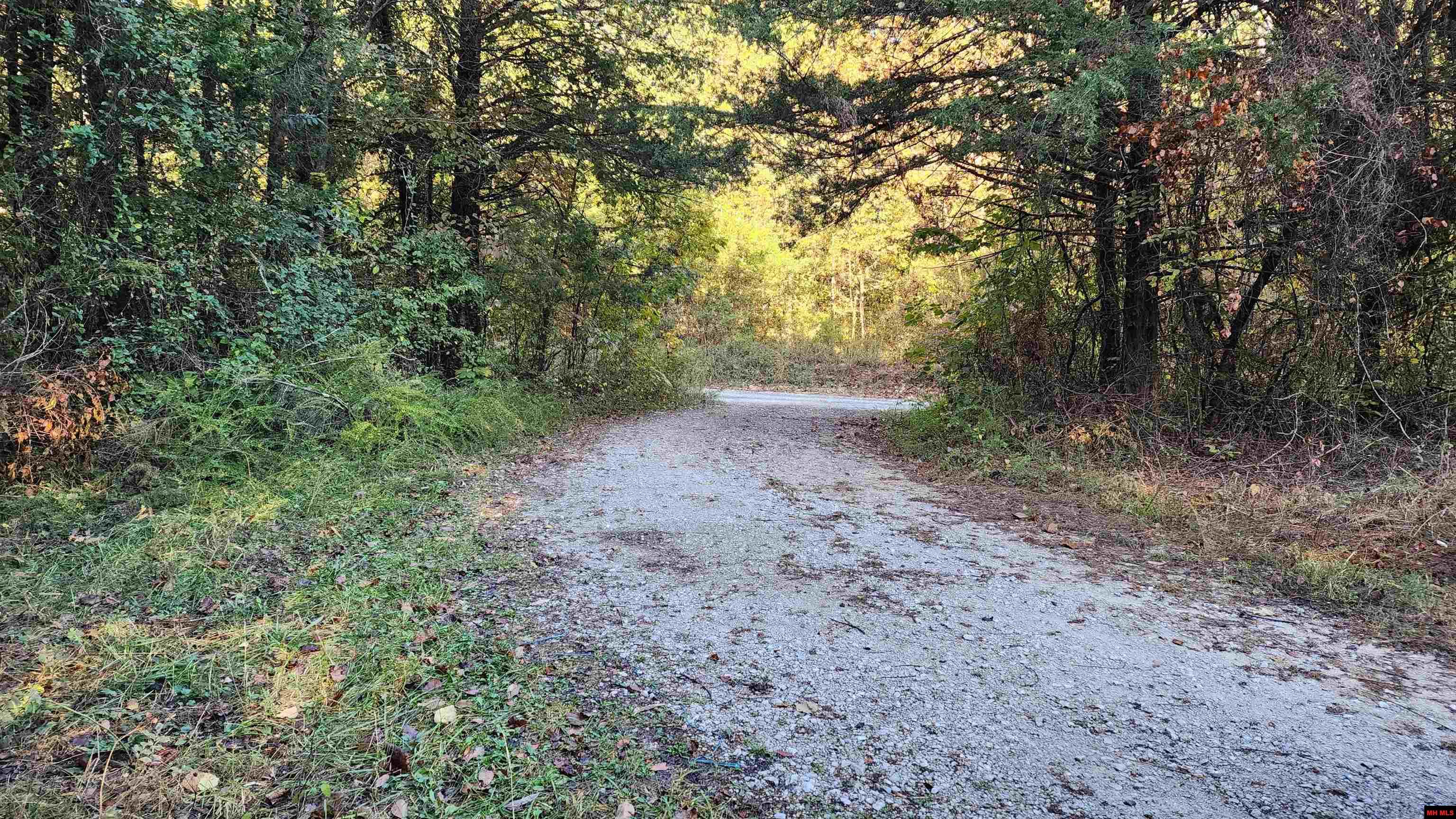 6901 MC 8061 Flippin, AR