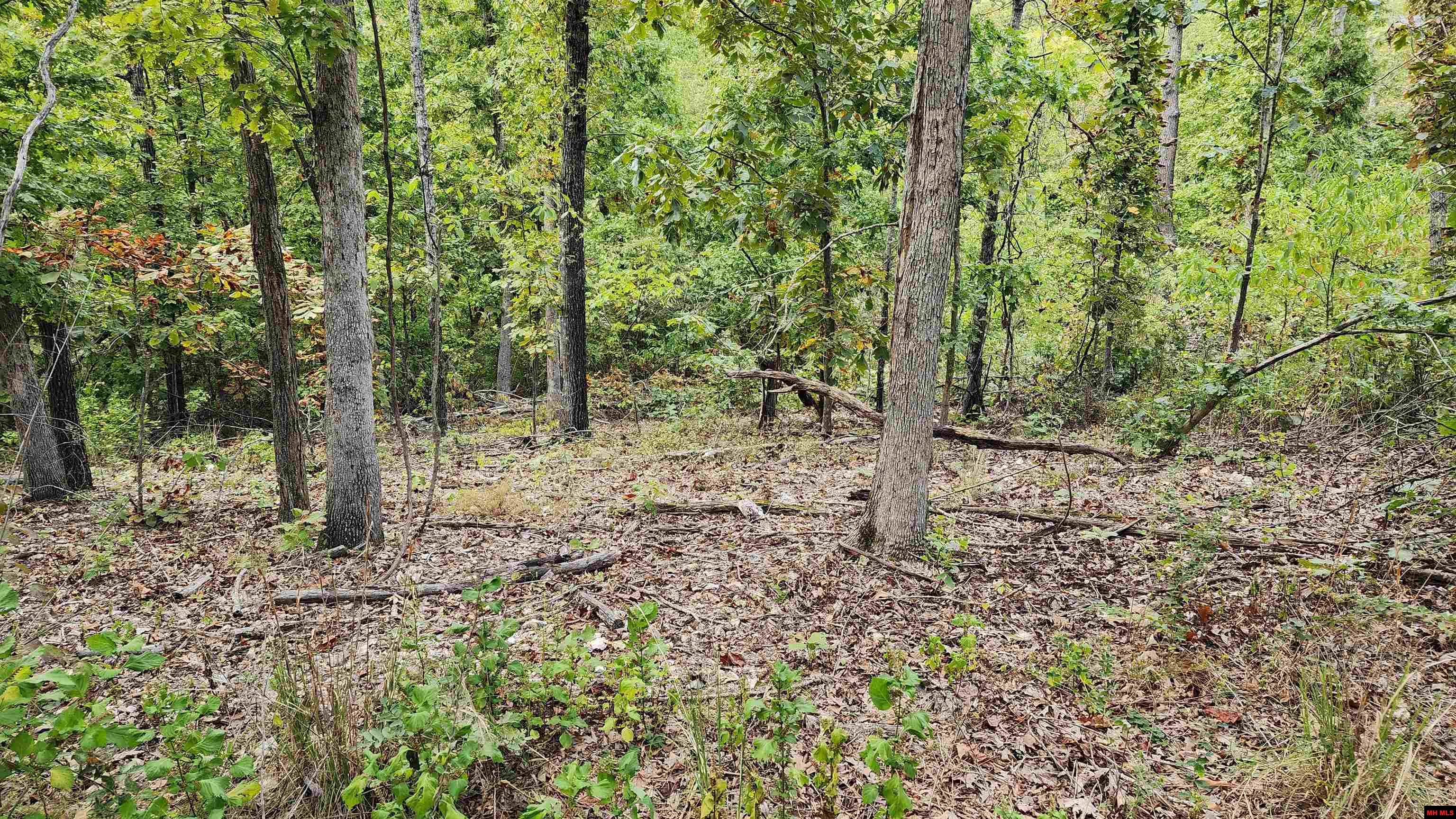 6901 MC 8061 Flippin, AR