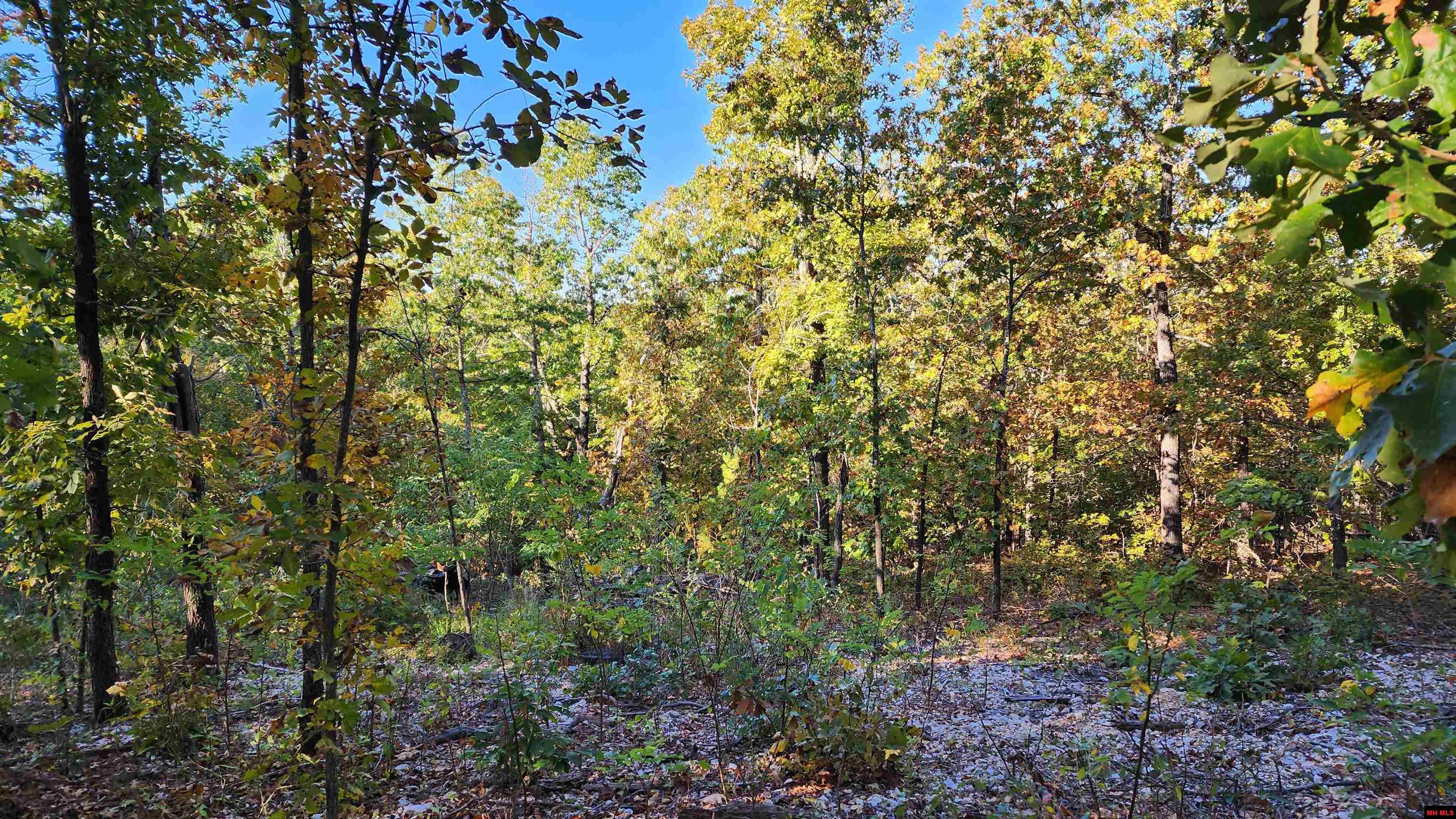 6901 MC 8061 Flippin, AR