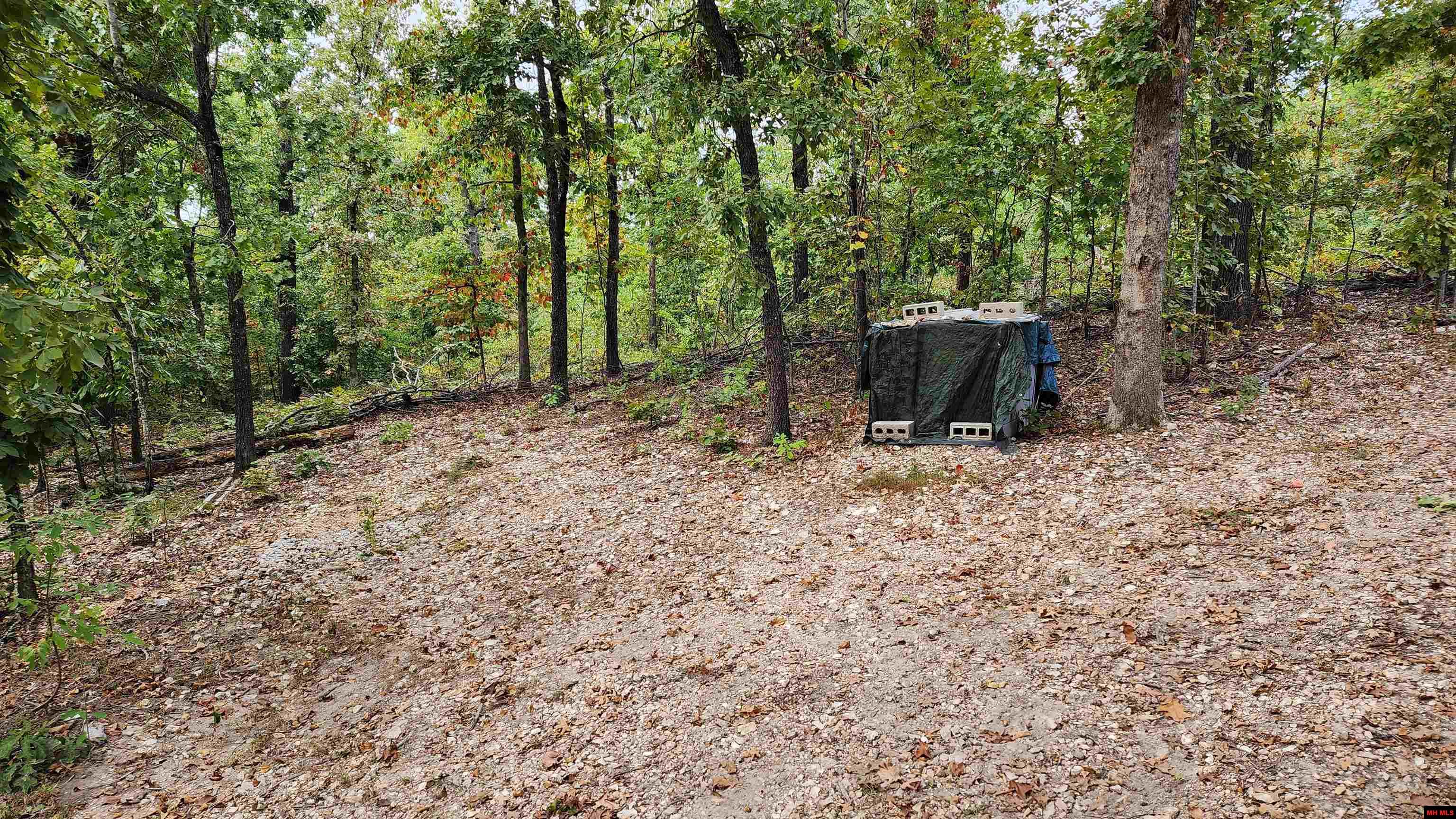 6901 MC 8061 Flippin, AR