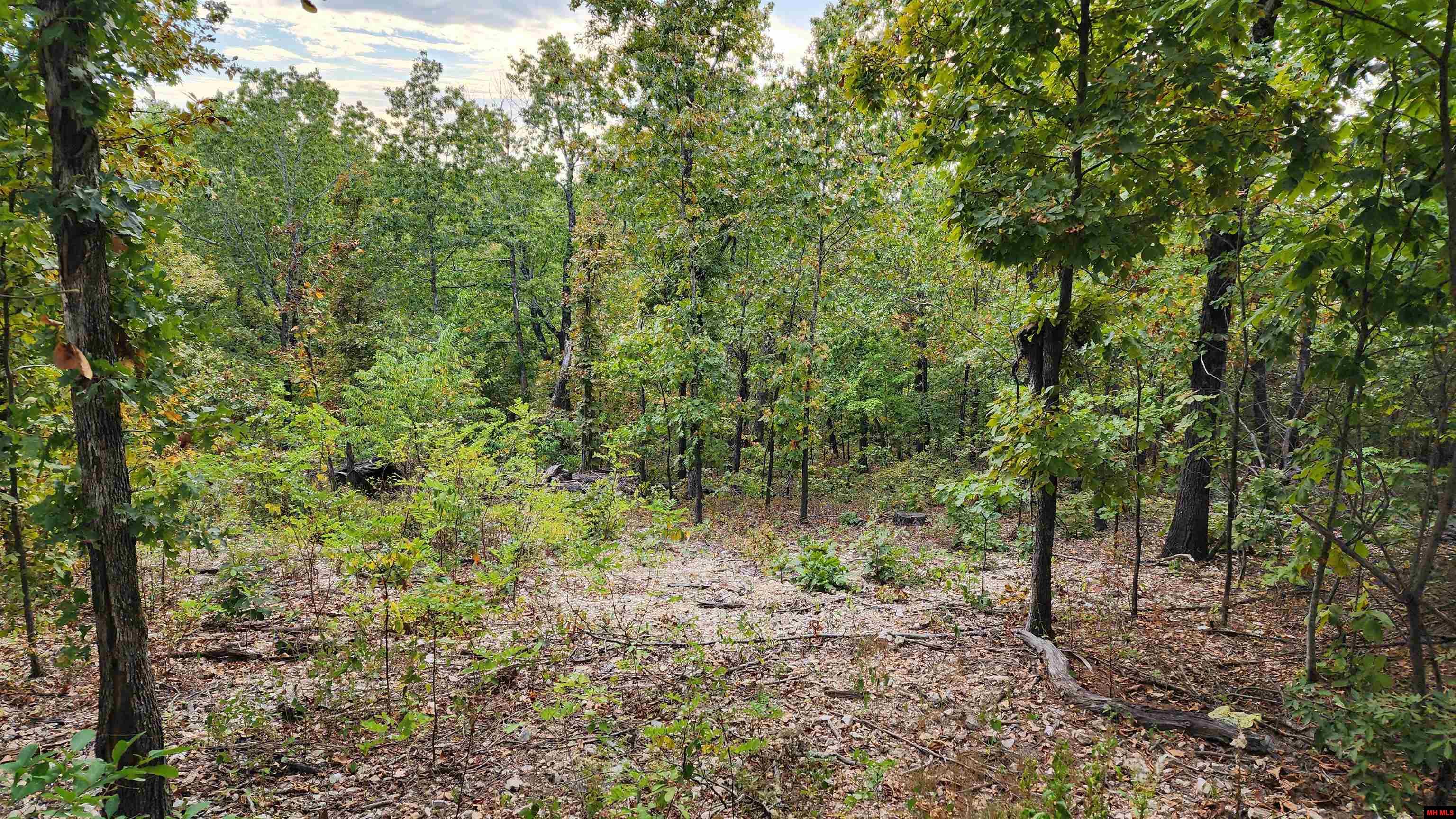 6901 MC 8061 Flippin, AR