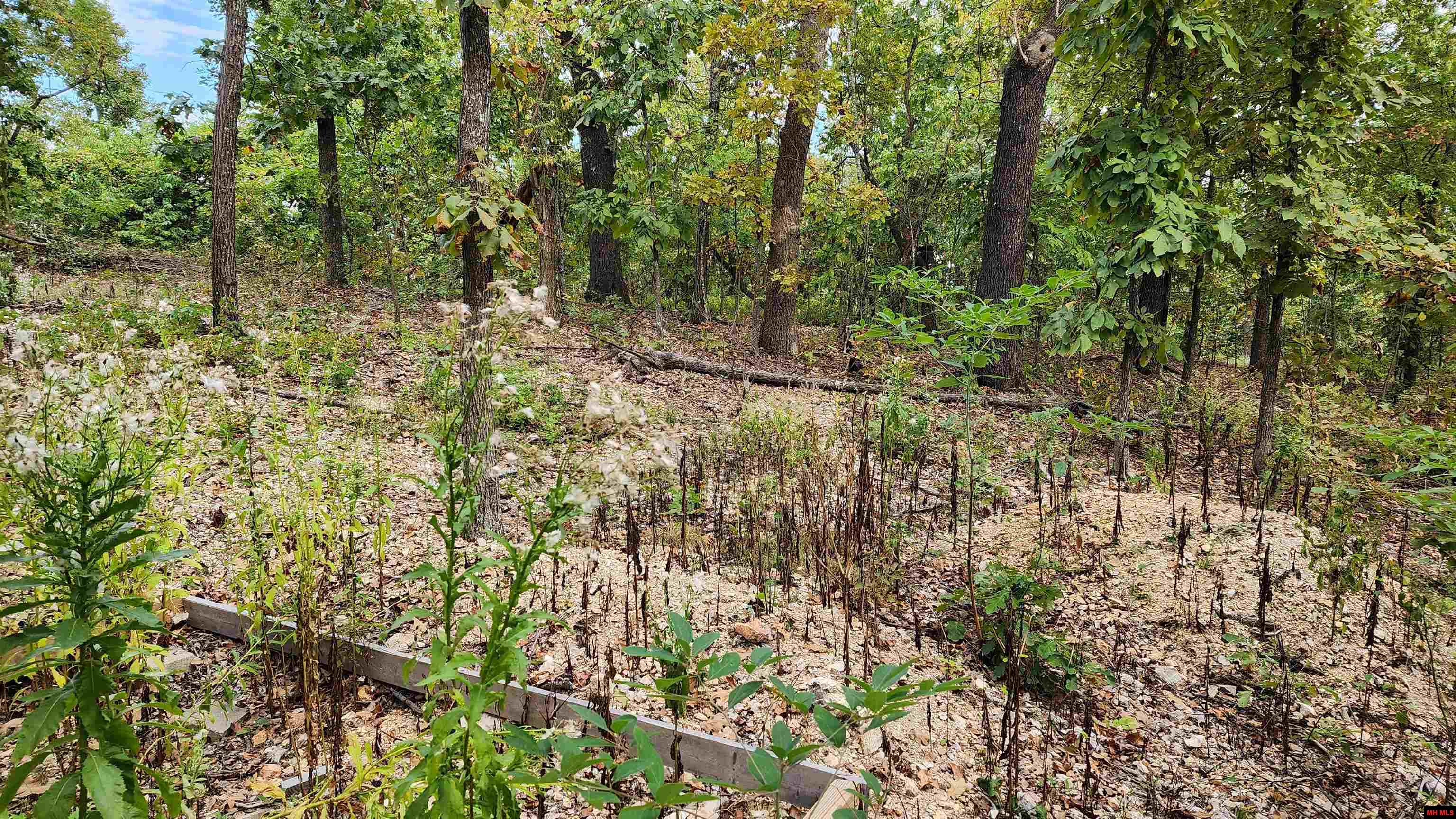 6901 MC 8061 Flippin, AR