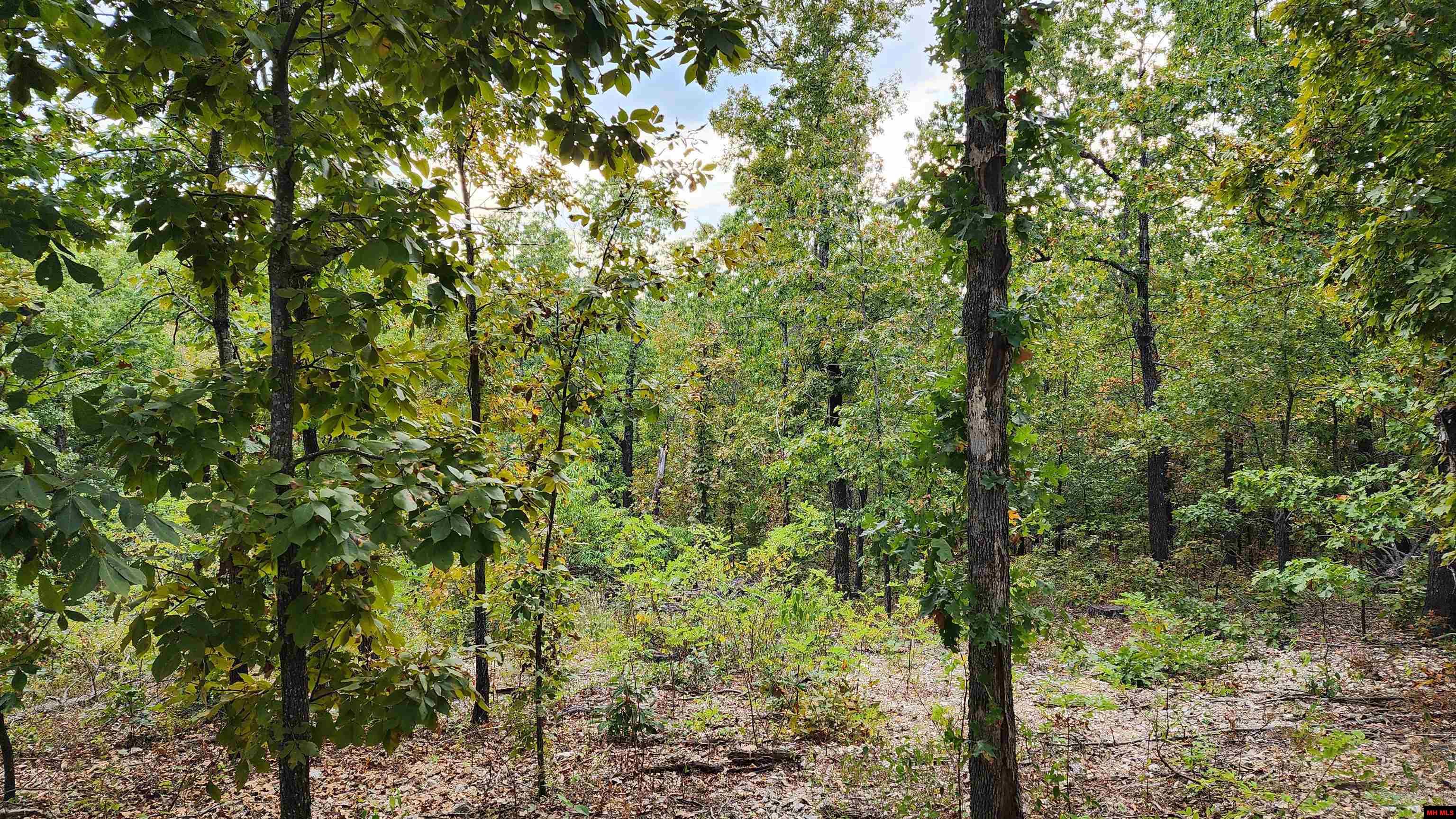 6901 MC 8061 Flippin, AR