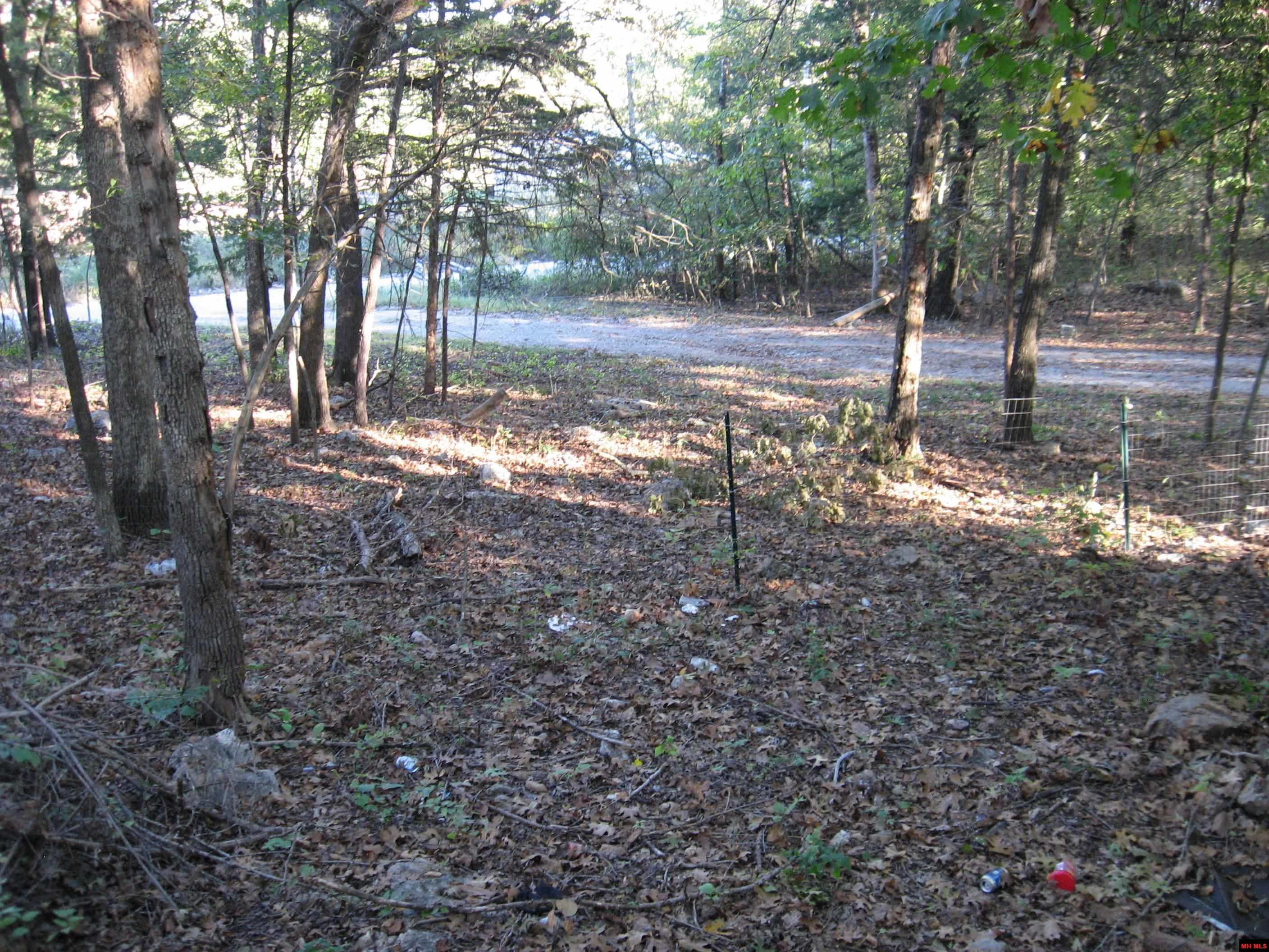 97 MC 7036 Flippin, AR