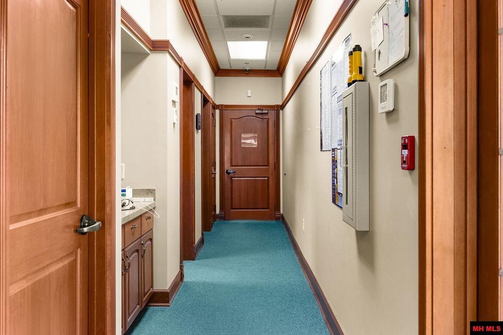 250 BUCHER DRIVE Mountain Home, AR