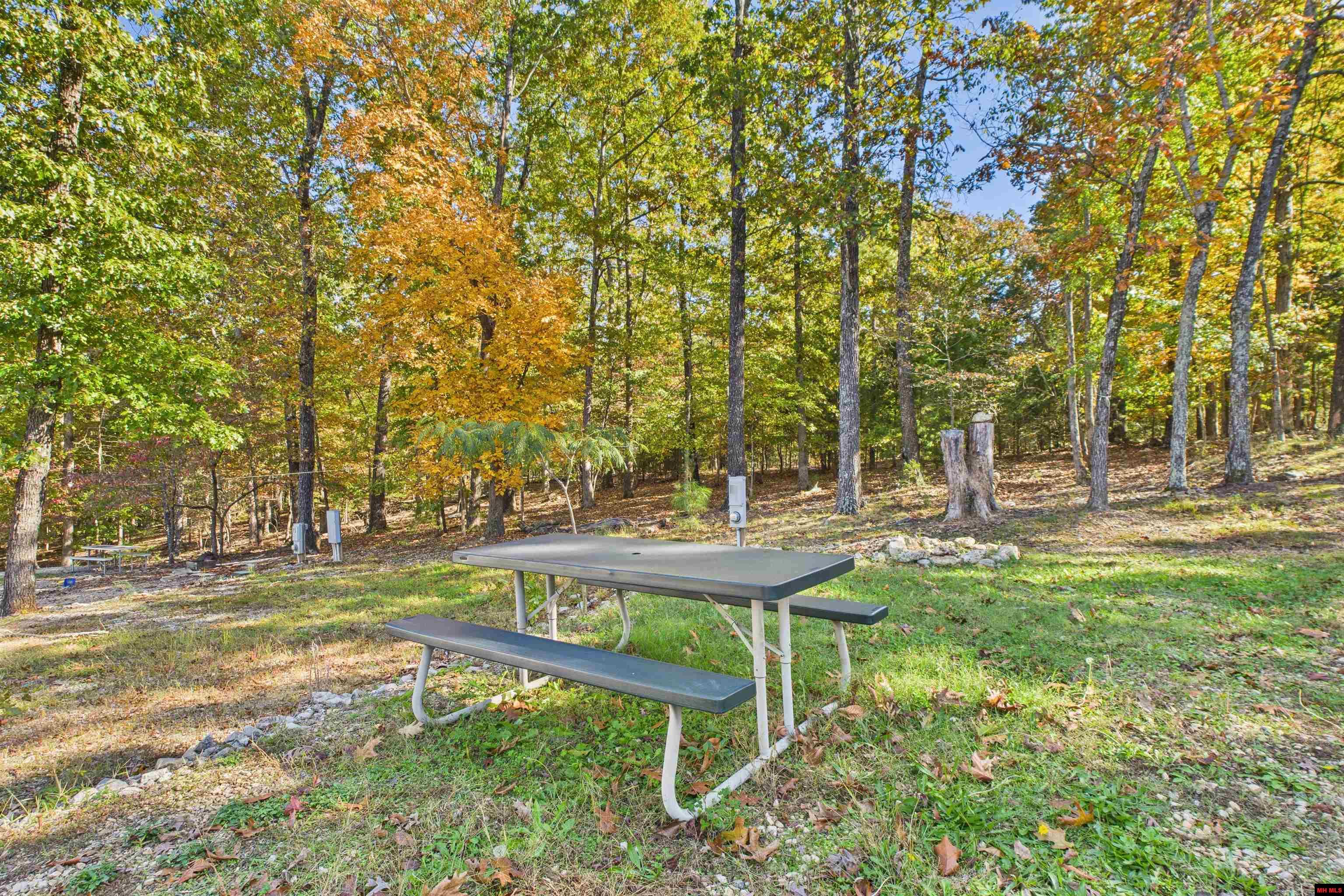 23 AVANT CIRCLE Gamaliel, AR