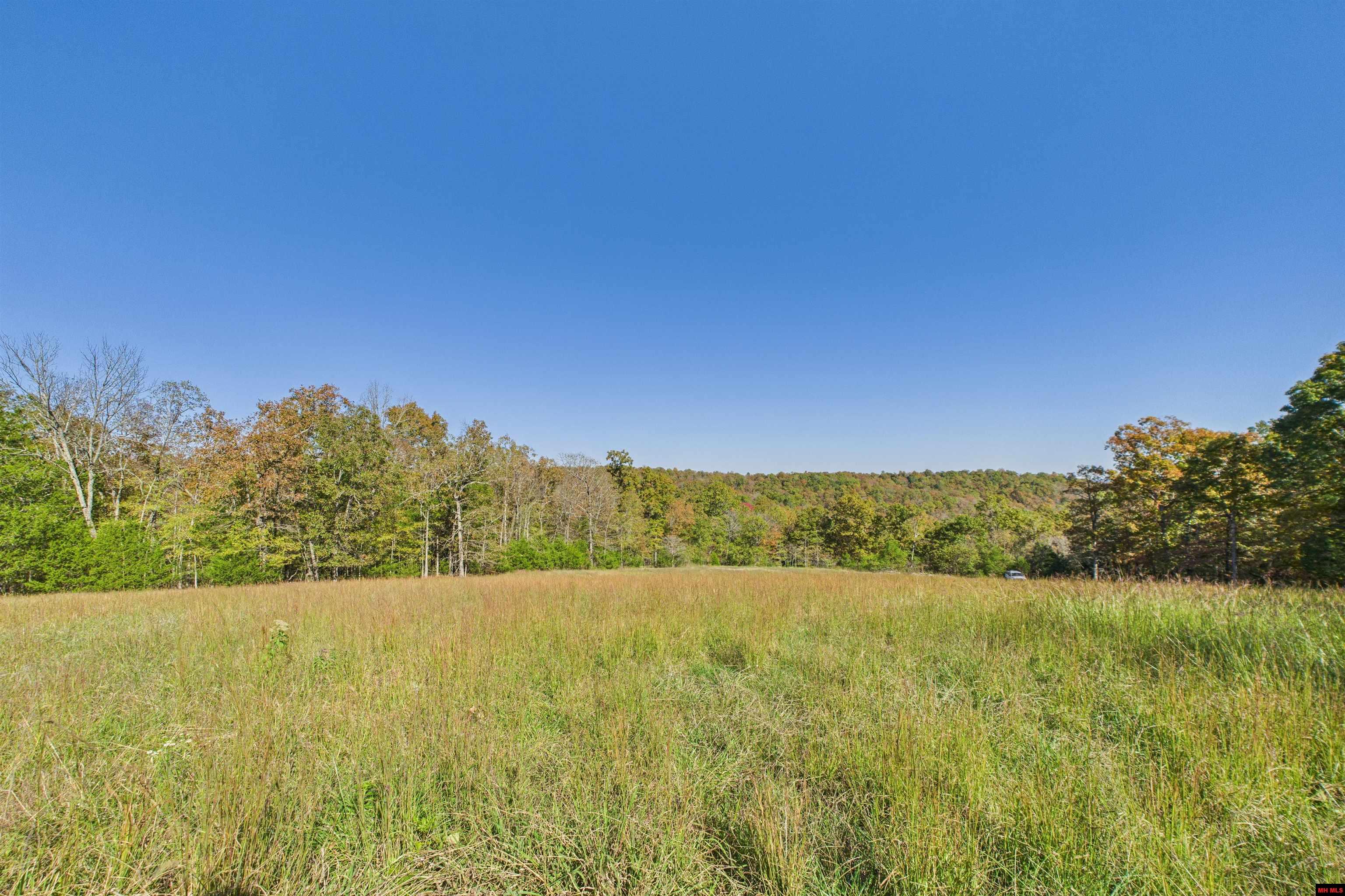 23 AVANT CIRCLE Gamaliel, AR