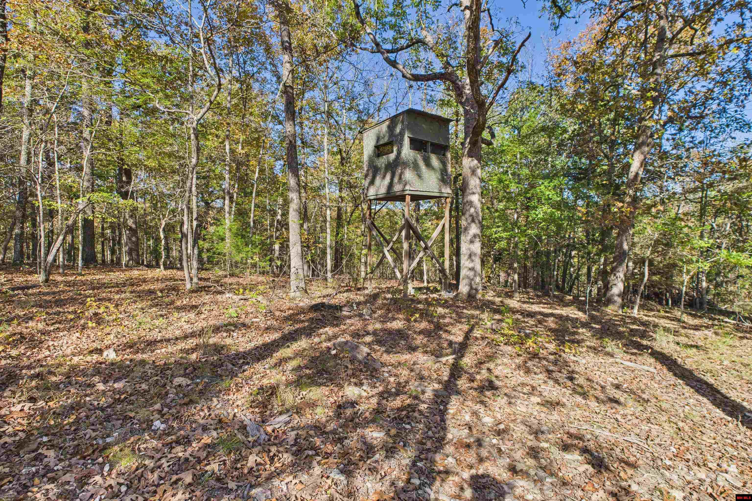 23 AVANT CIRCLE Gamaliel, AR