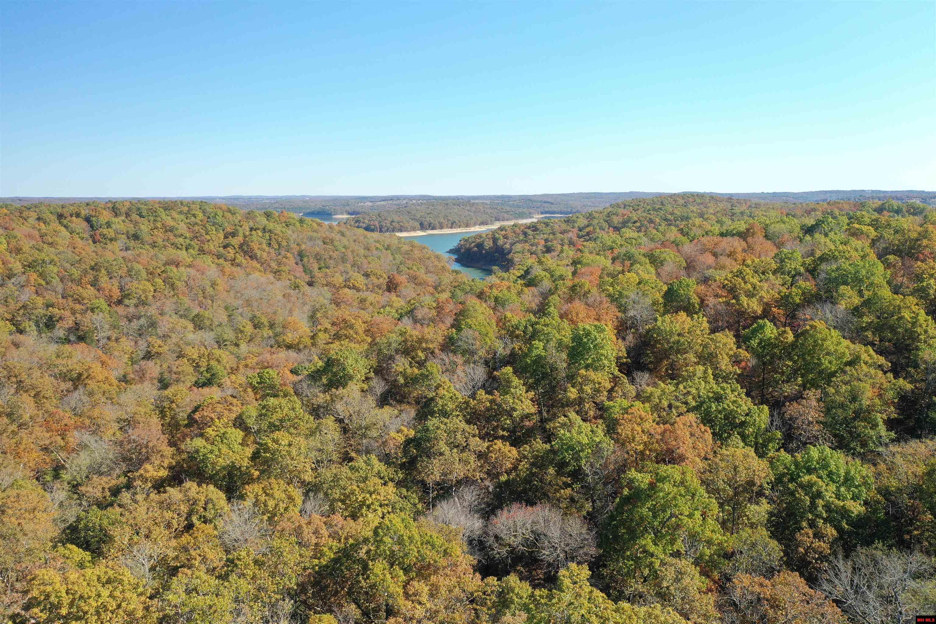 23 AVANT CIRCLE Gamaliel, AR