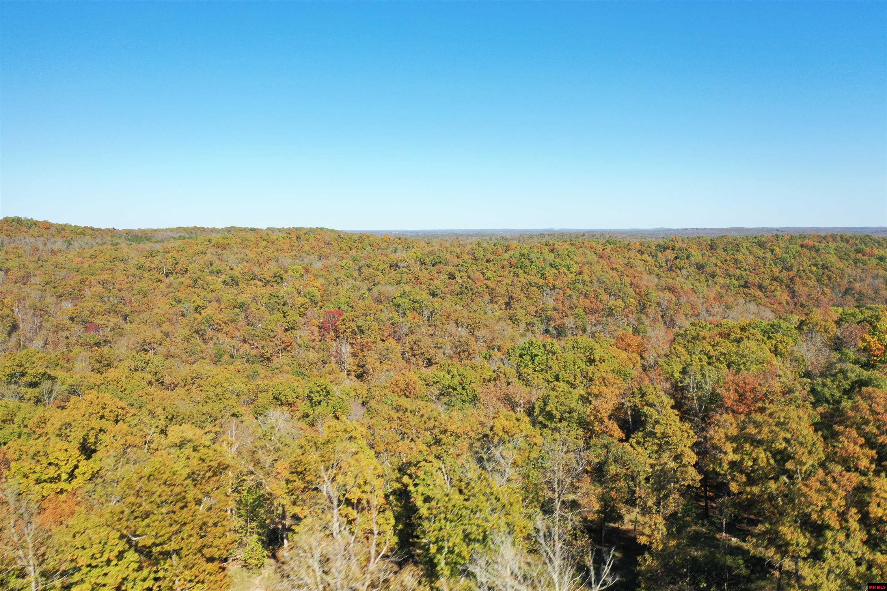 23 AVANT CIRCLE Gamaliel, AR