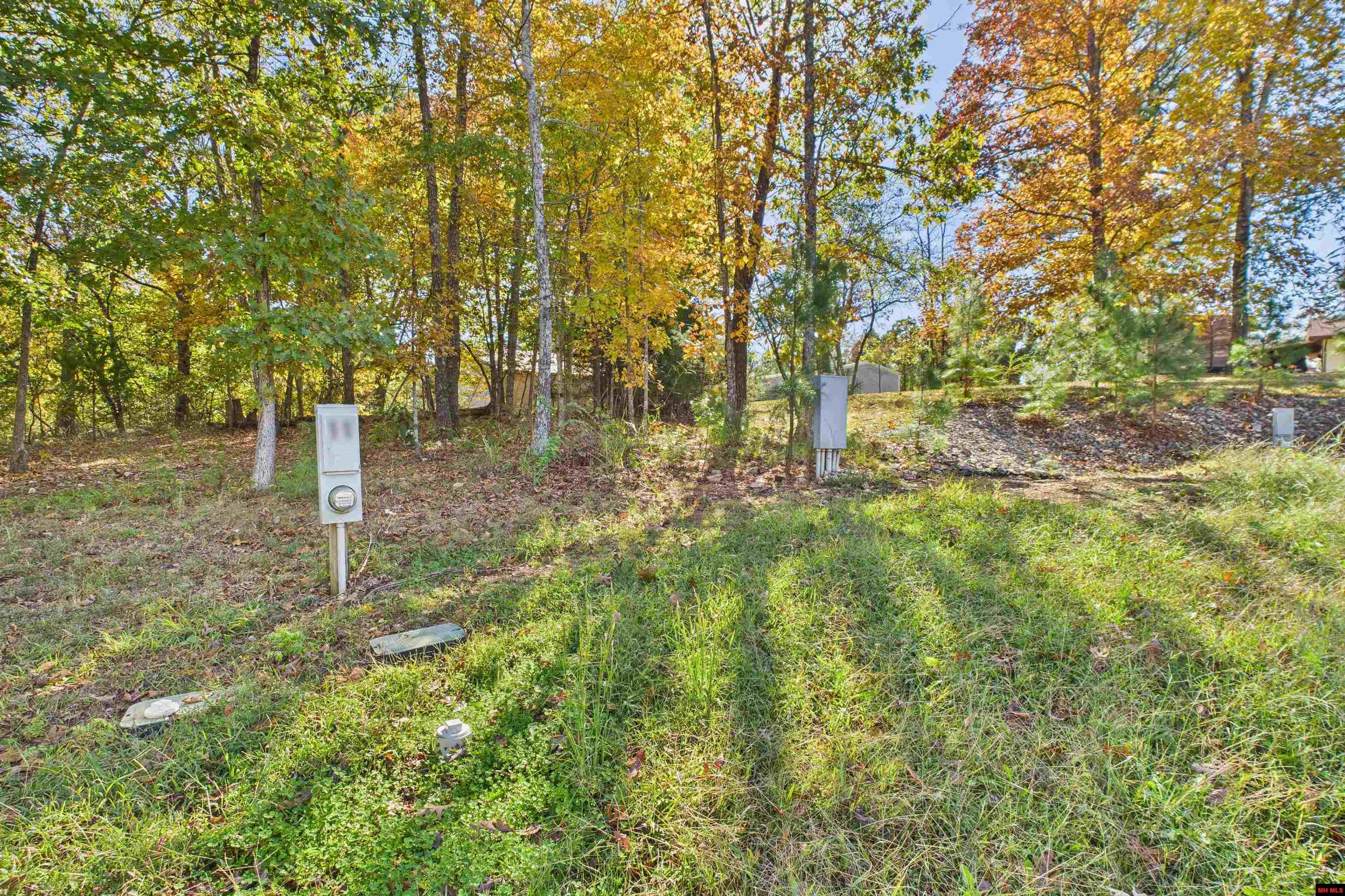 23 AVANT CIRCLE Gamaliel, AR