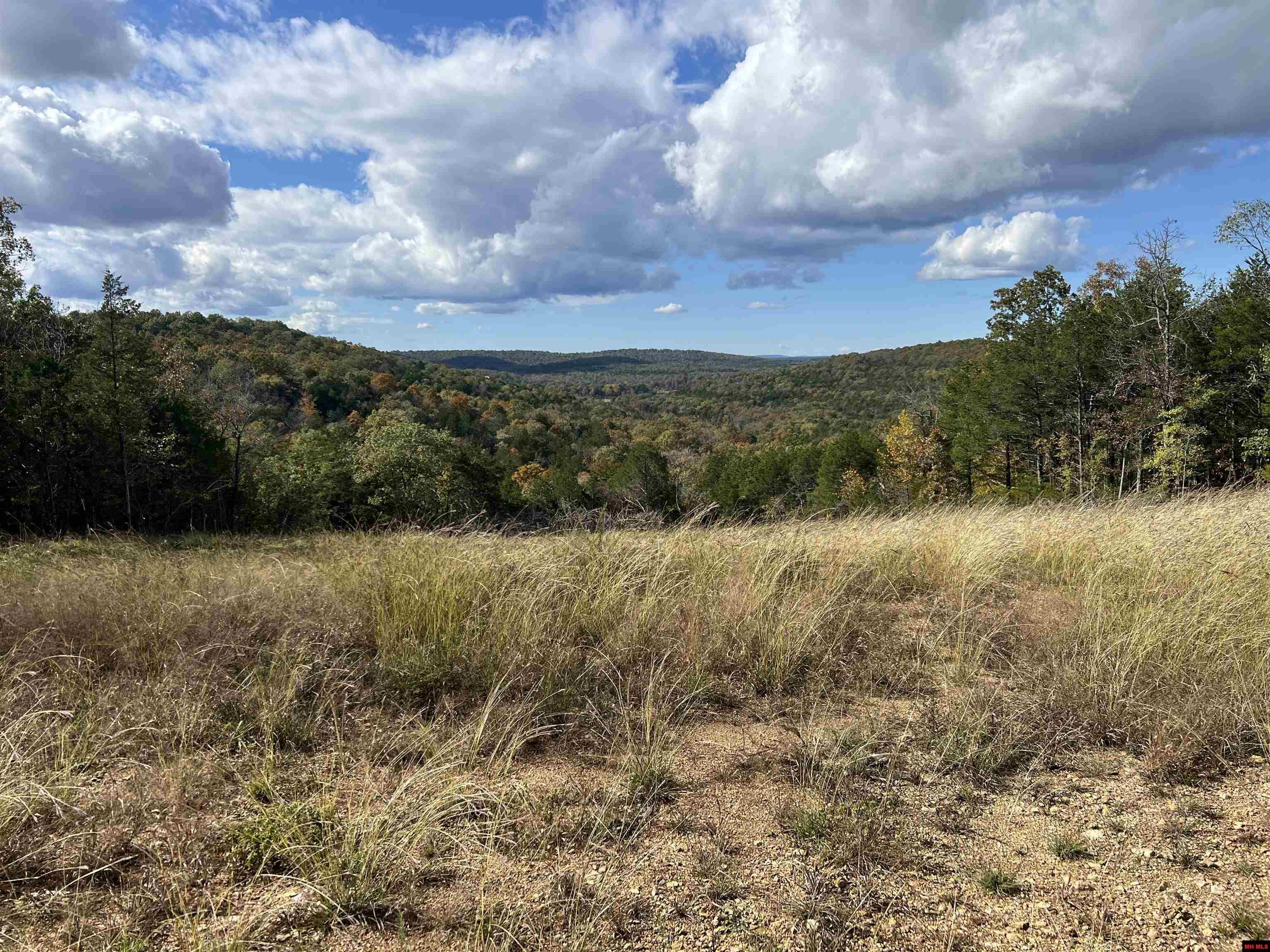 8604 HWY 125 NORTH Peel, AR 72668