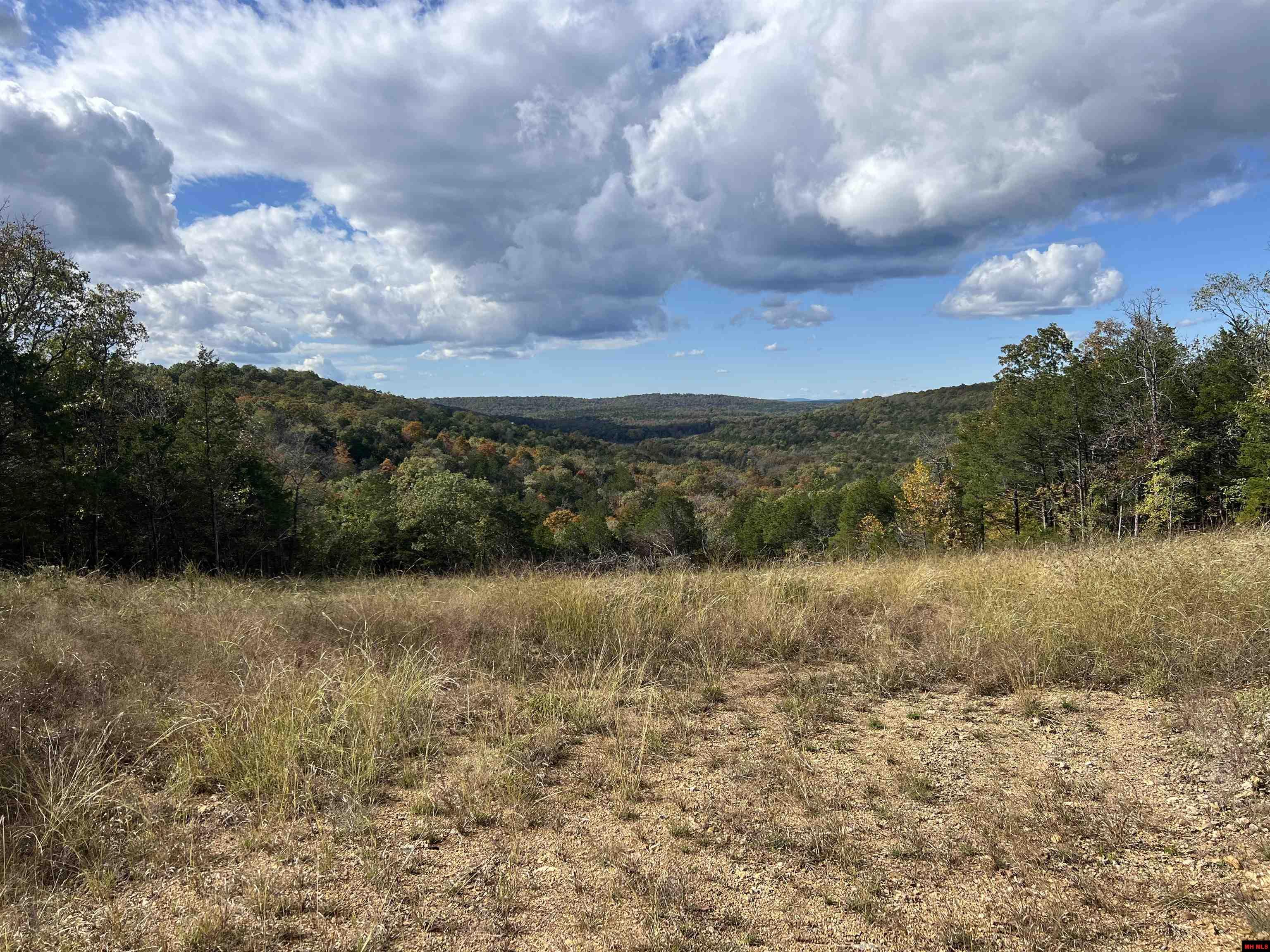 8604 HWY 125 NORTH Peel, AR 72668