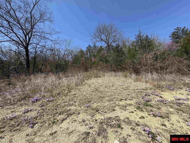 109 CR 227 Calico Rock, AR