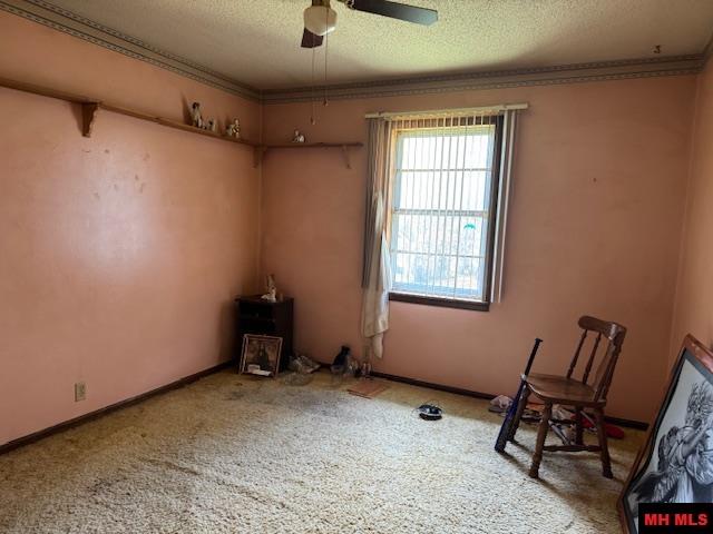 119 W JOHNSON DRIVE Flippin, AR