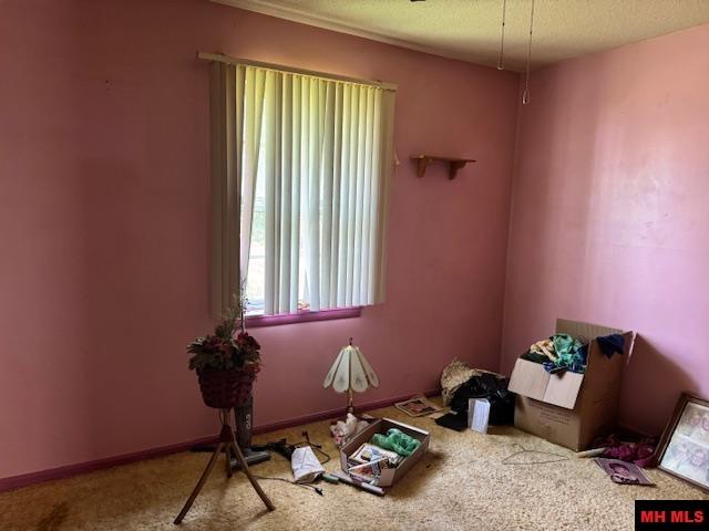 119 W JOHNSON DRIVE Flippin, AR