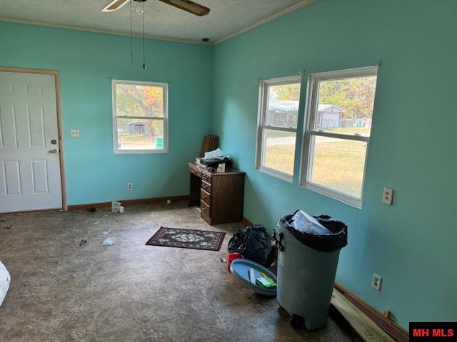 119 W JOHNSON DRIVE Flippin, AR