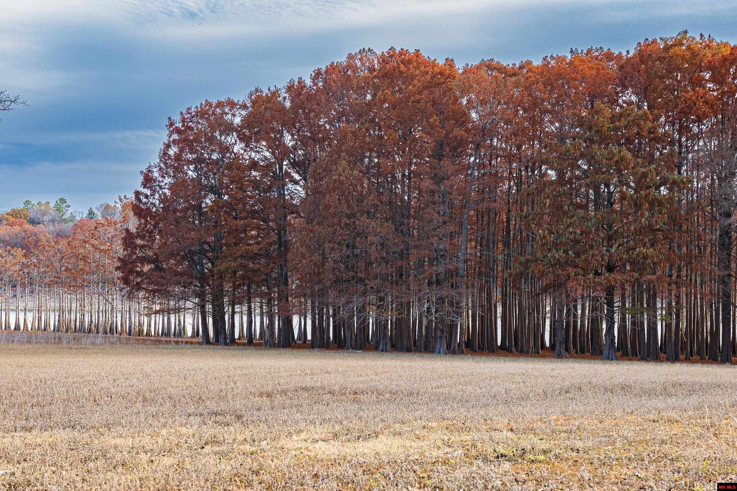 00107416017 Providence Ridge Road