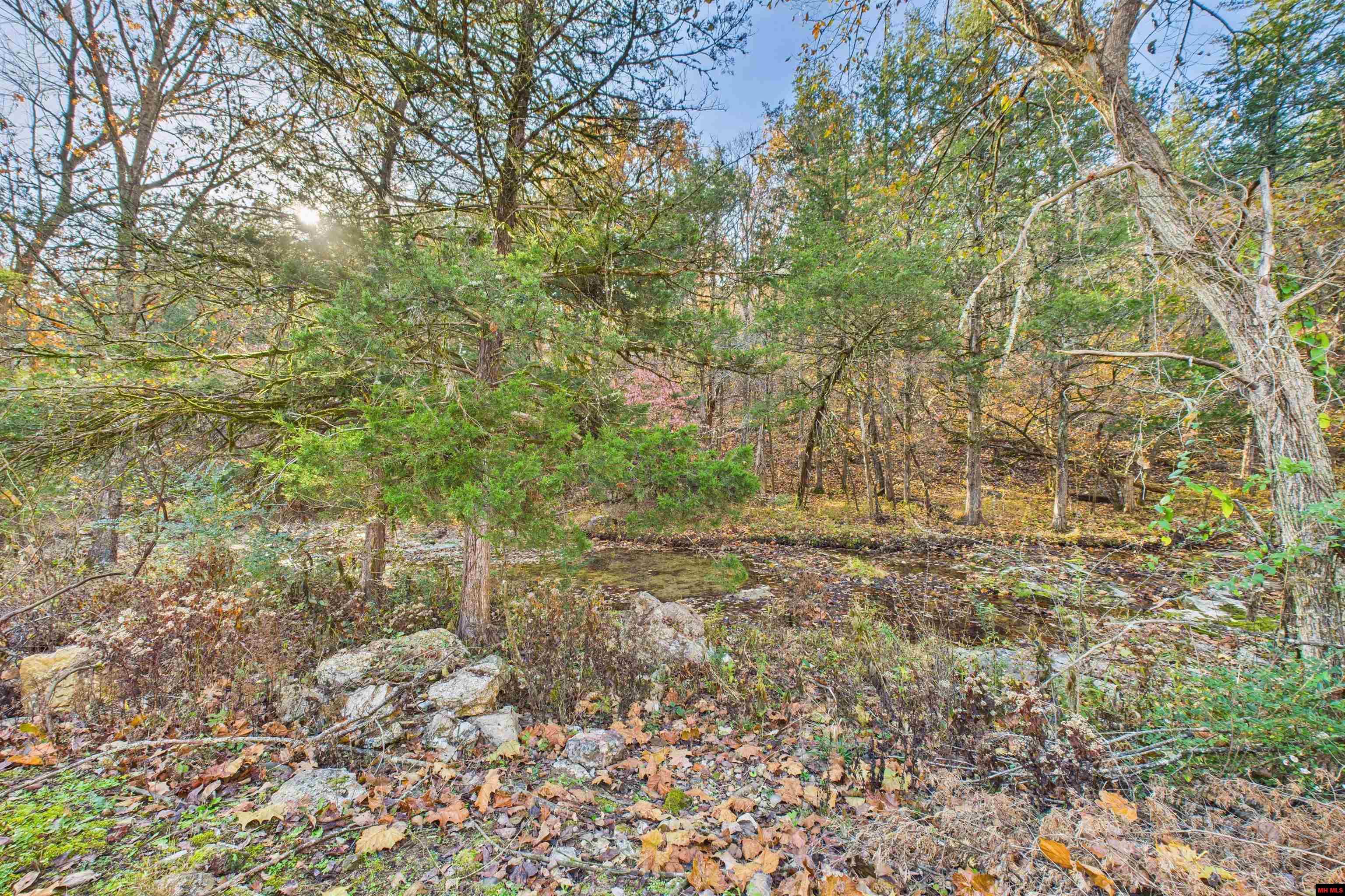 79 HIGH COUNTRY TRAIL Mountain Home, AR