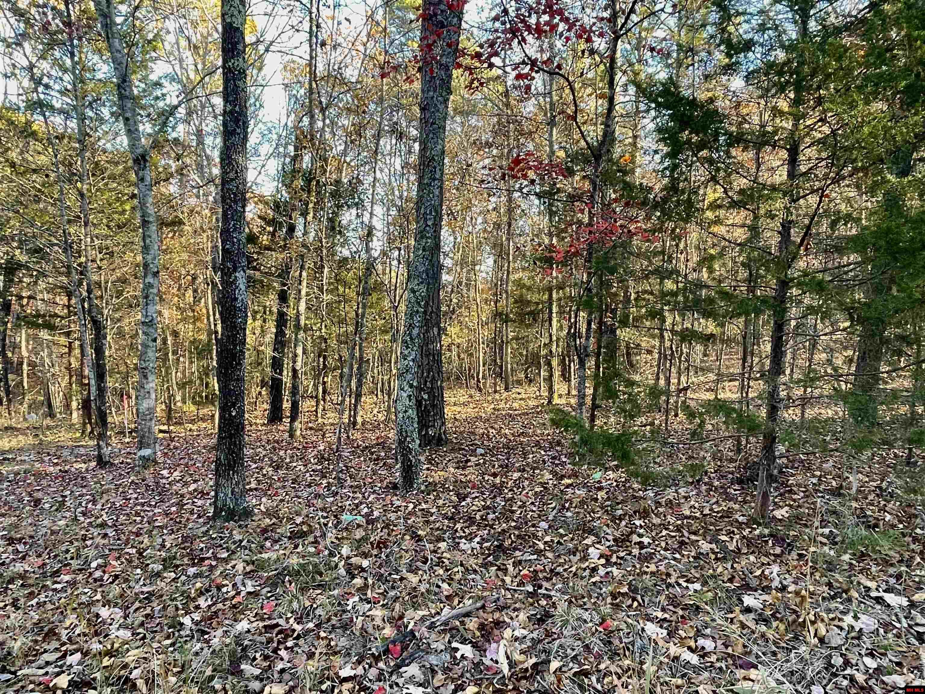 129 WOODLAWN PLACE Salesville, AR