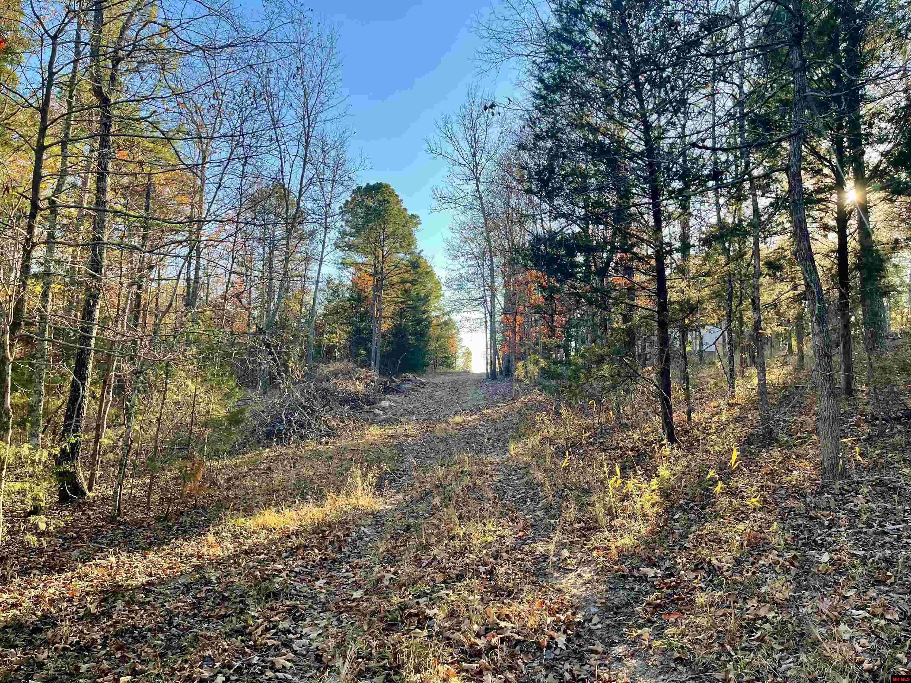 129 WOODLAWN PLACE Salesville, AR