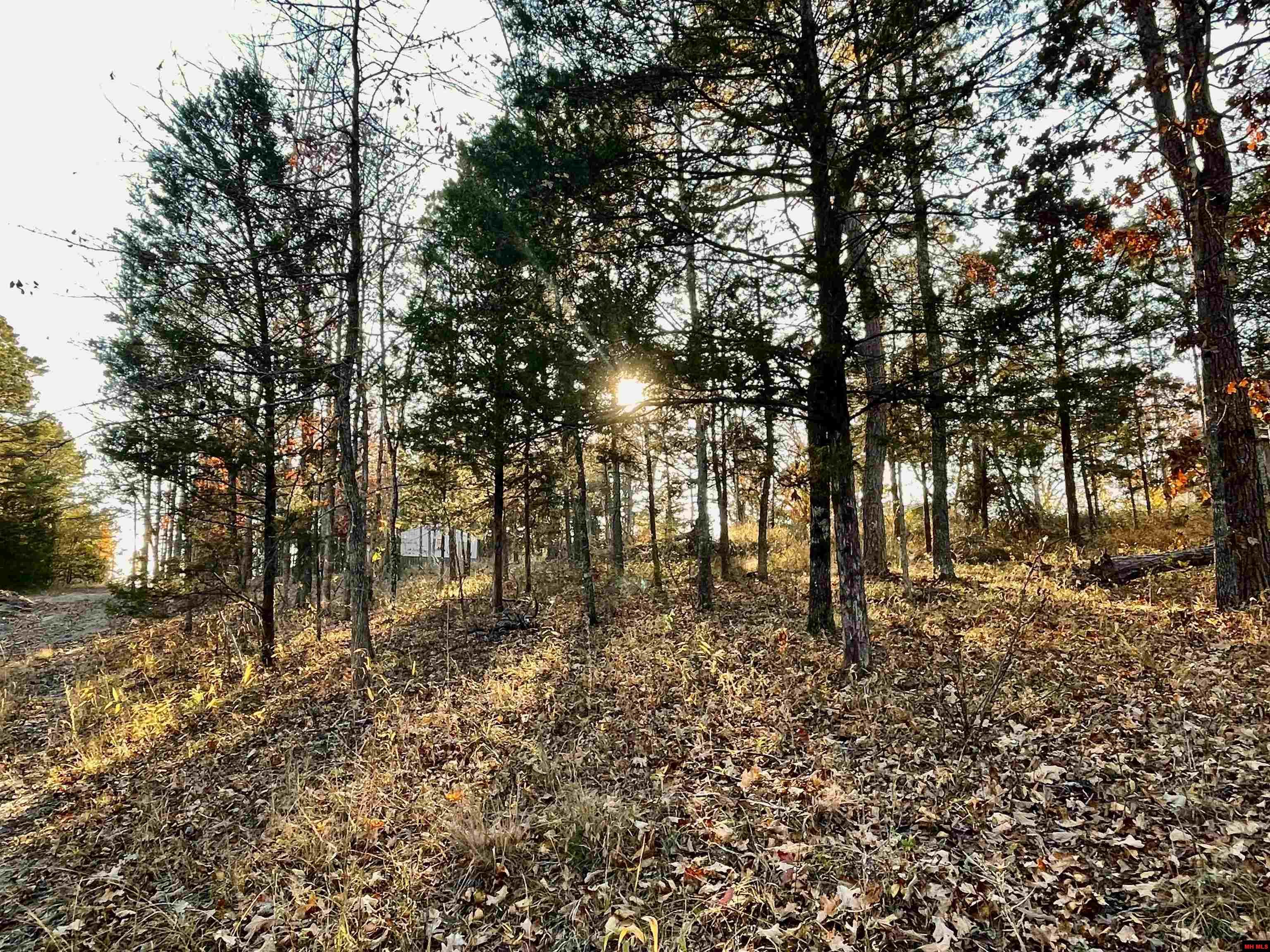 129 WOODLAWN PLACE Salesville, AR