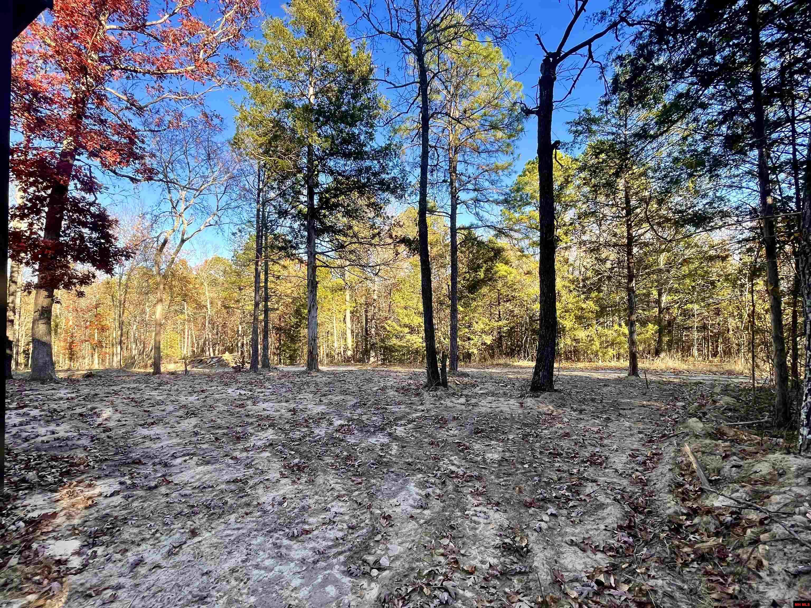 129 WOODLAWN PLACE Salesville, AR