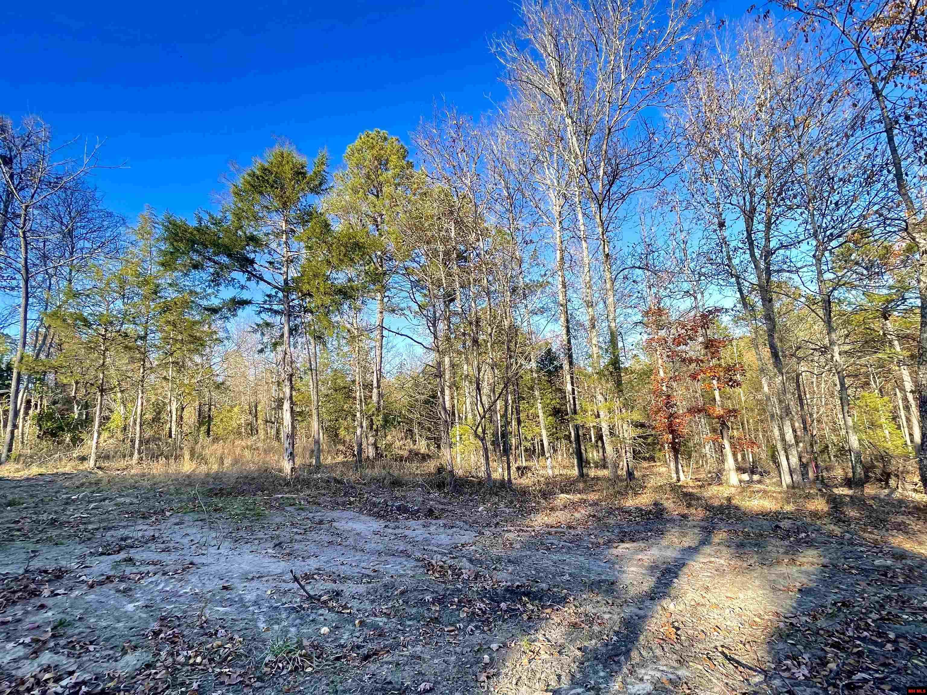 129 WOODLAWN PLACE Salesville, AR