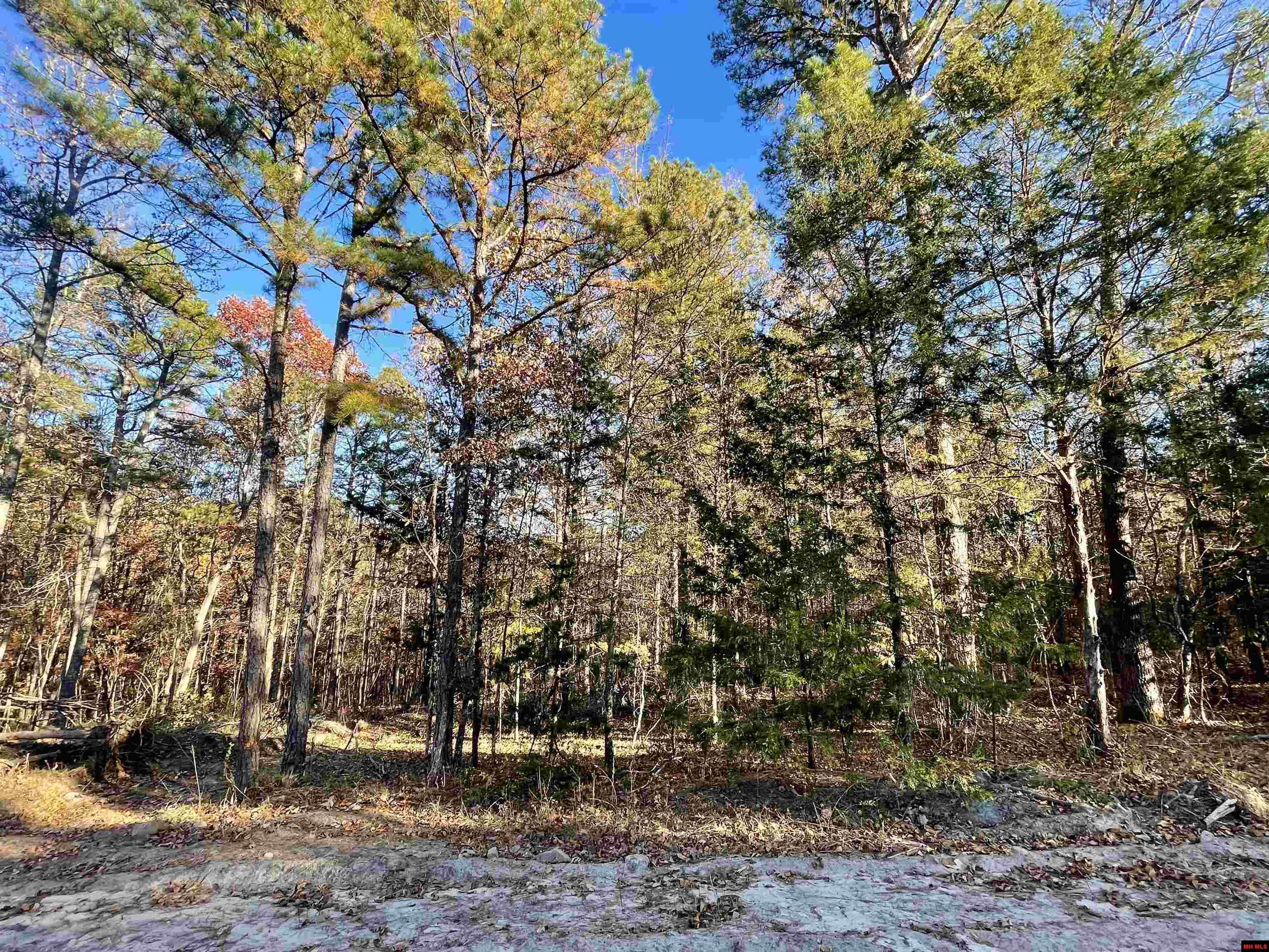 129 WOODLAWN PLACE Salesville, AR