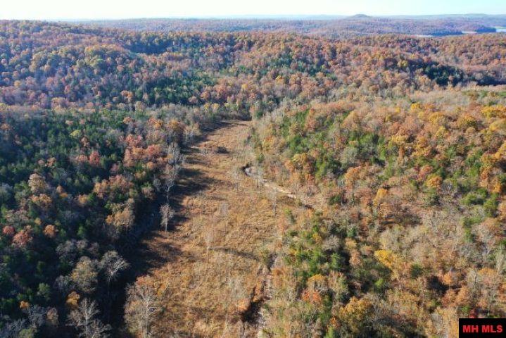 002-04087-000 Chappie Lane