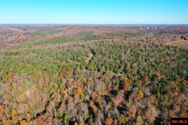 002-04087-000 Chappie Lane