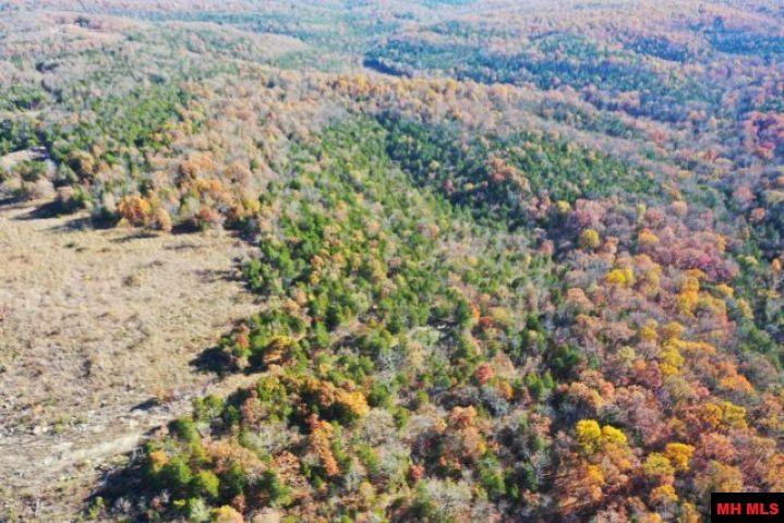 002-04087-000 Chappie Lane