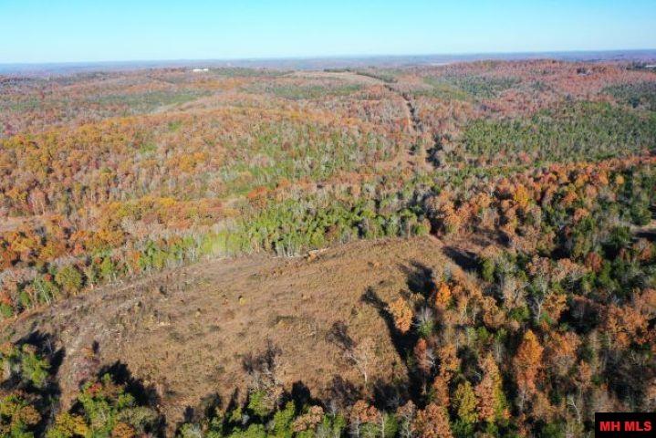 002-04087-000 Chappie Lane