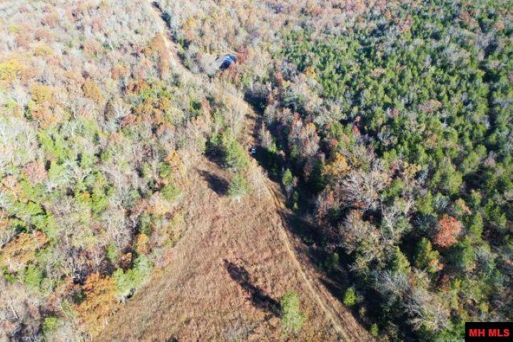 001-00776-000 Chappie Lane