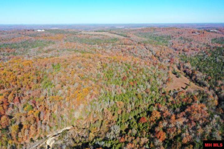 001-00776-000 Chappie Lane