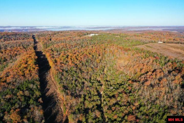 001-00776-000 Chappie Lane