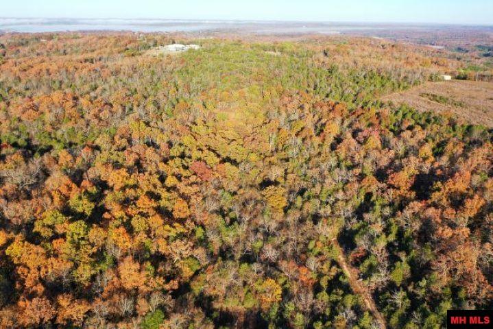 001-00776-000 Chappie Lane