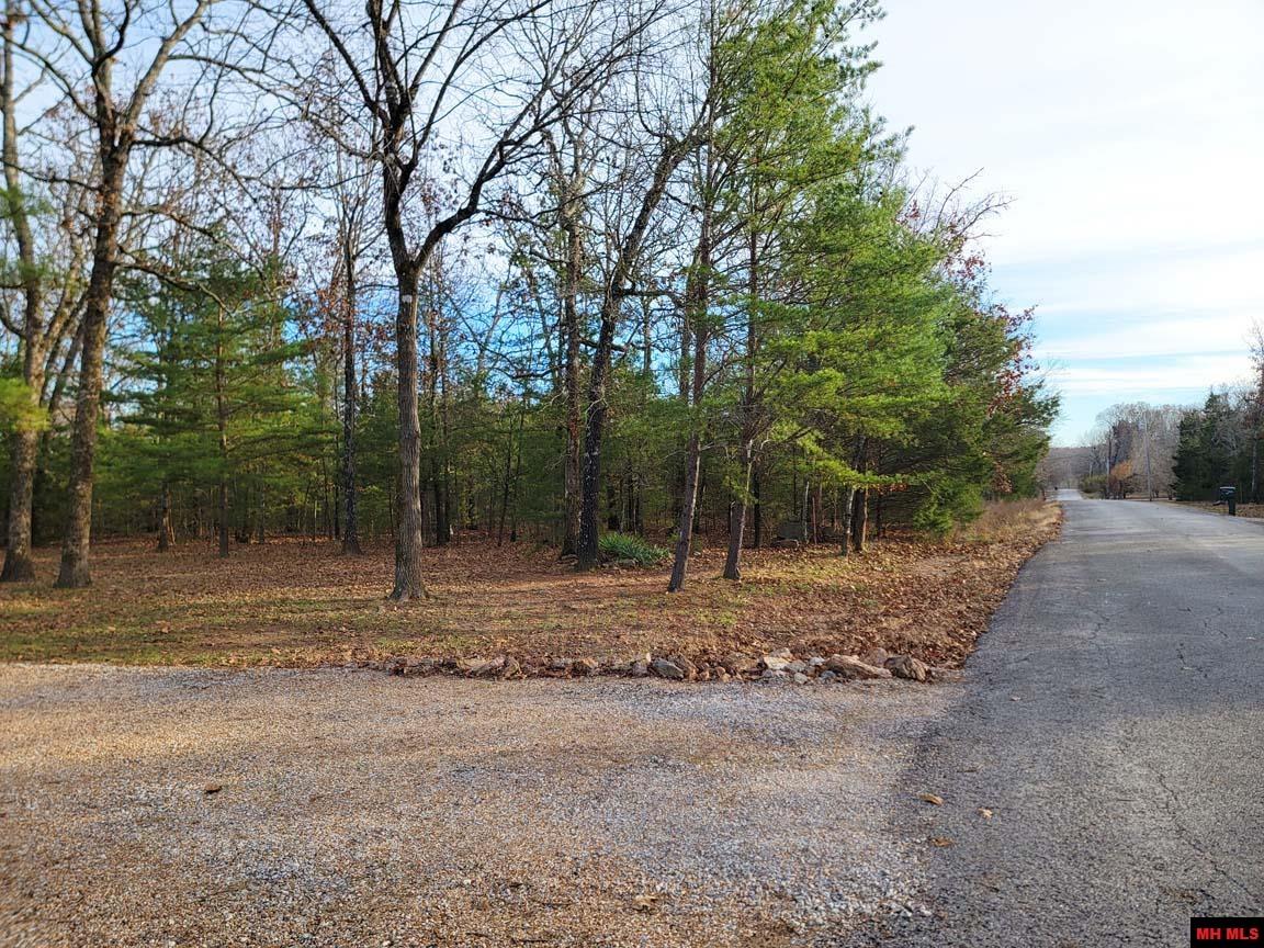 297 PLAINS DRIVE Mountain Home, AR