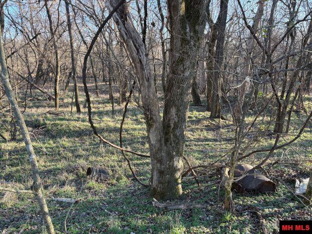 593 FOSTER STREET Pyatt, AR