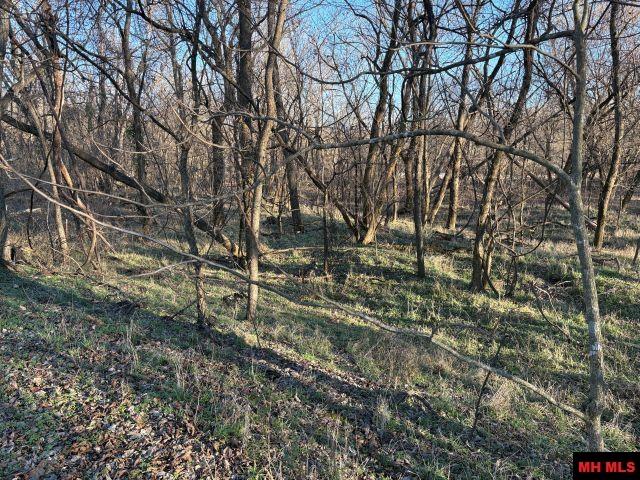 593 FOSTER STREET Pyatt, AR