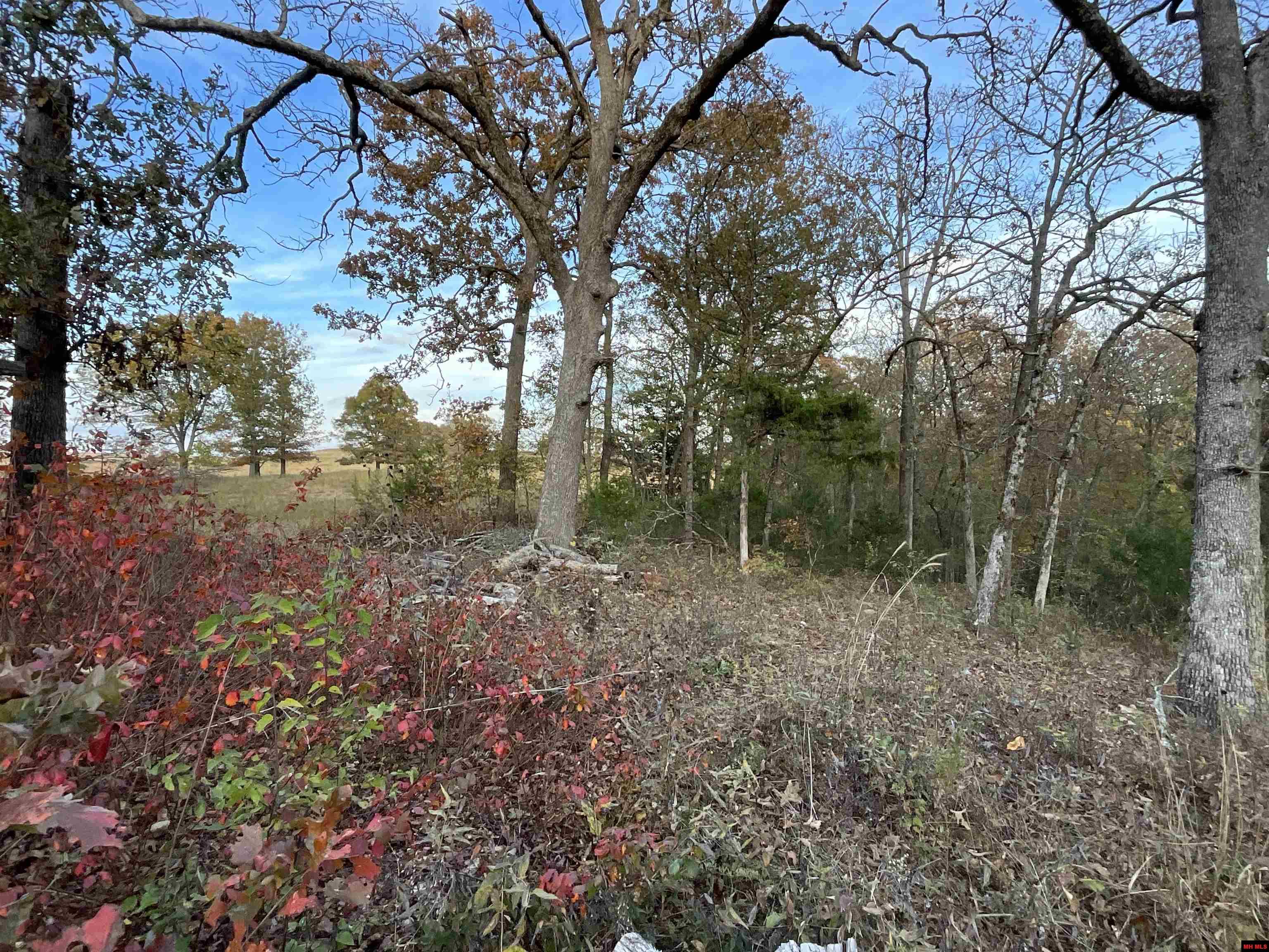 180111000000001 LEDBETTER HOLLOW Theodosia, MO